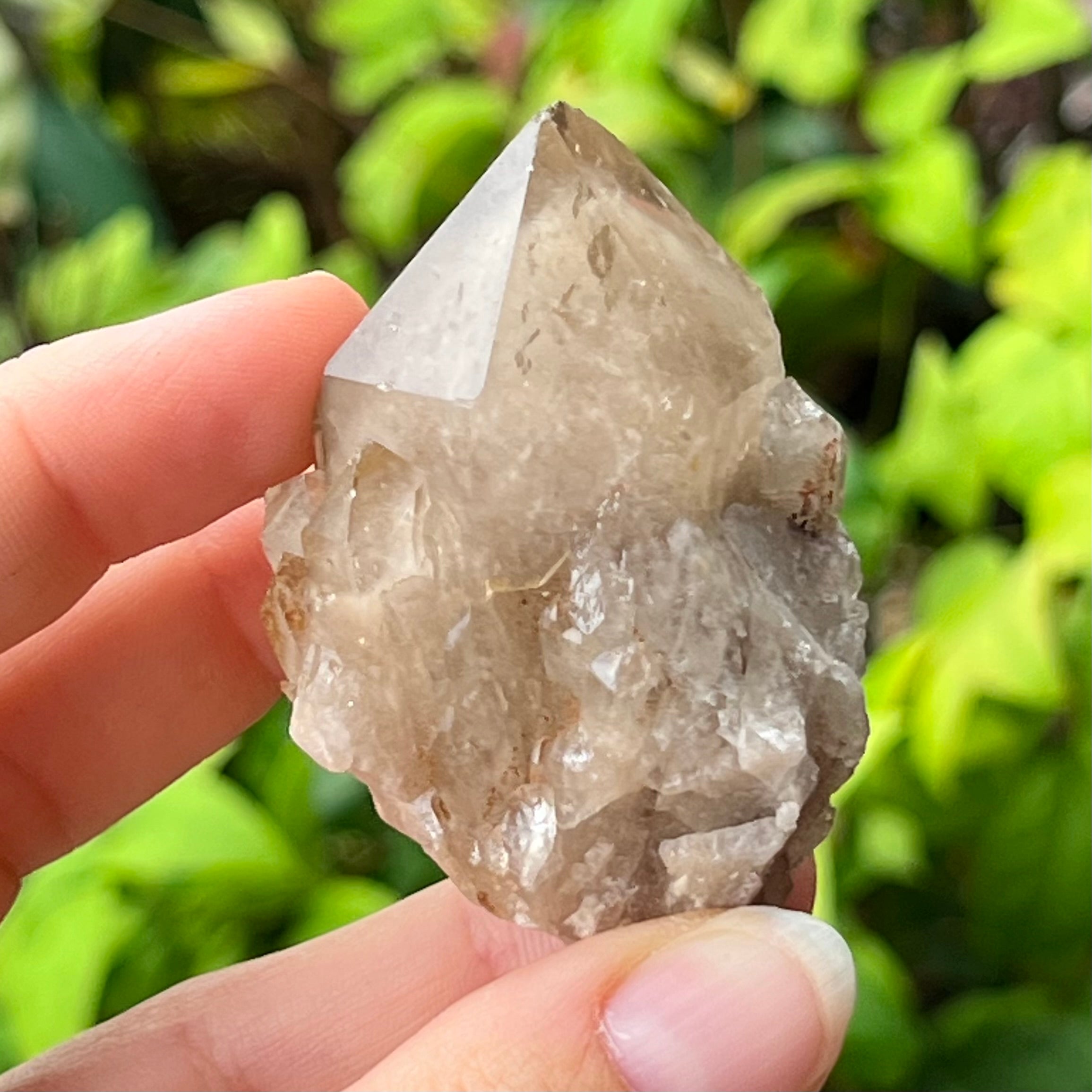 Kundalini Citrine~ Specialty Crystal