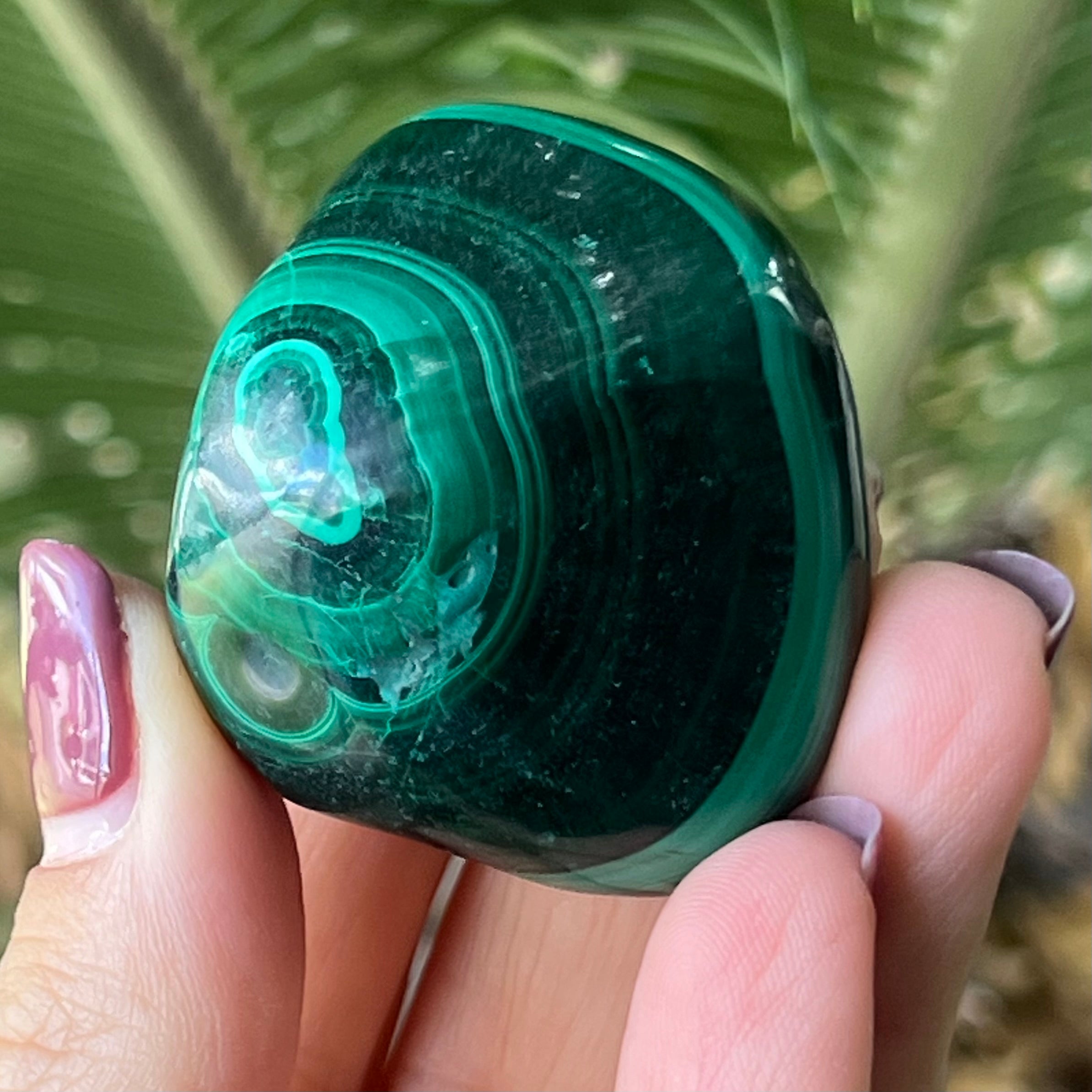 Malachite ~ Specialty Boxed Crystal