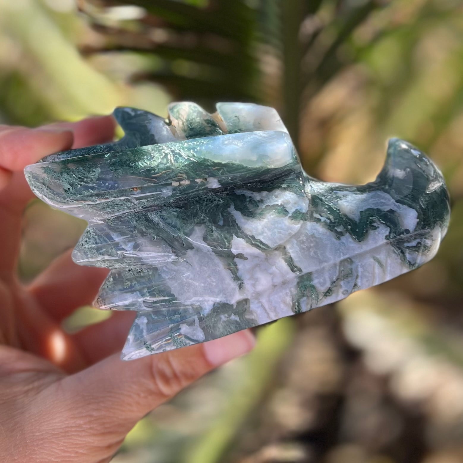 Moss Agate ~ Dragon Head
