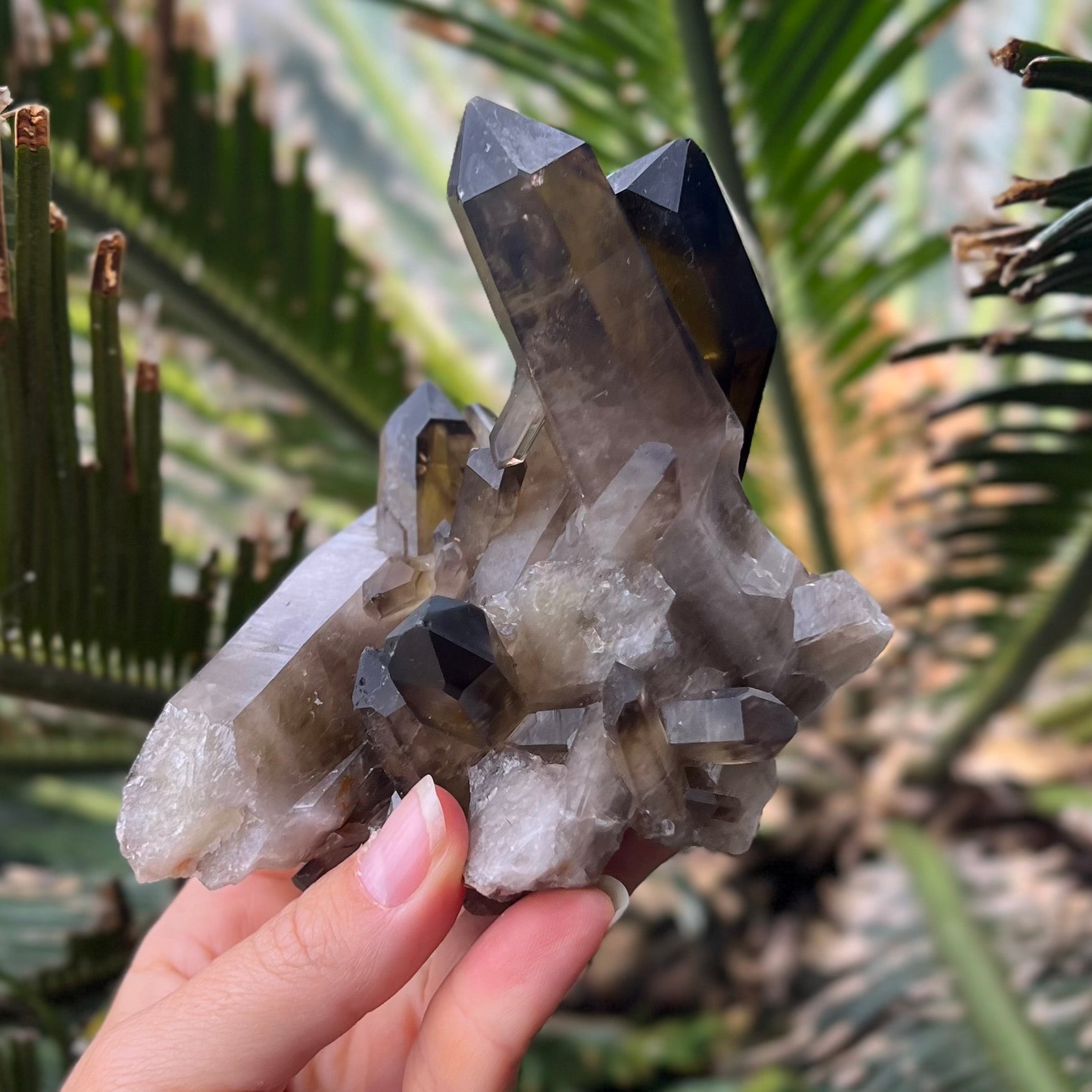 Smokey Quartz Cluster