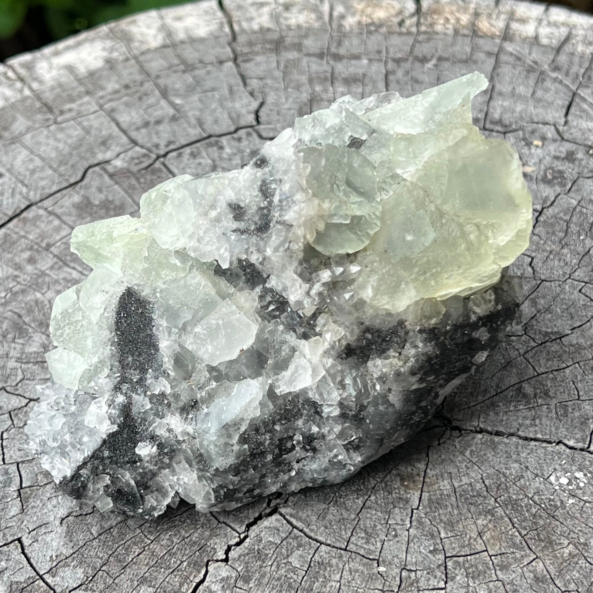 Natural Green Apophyllite