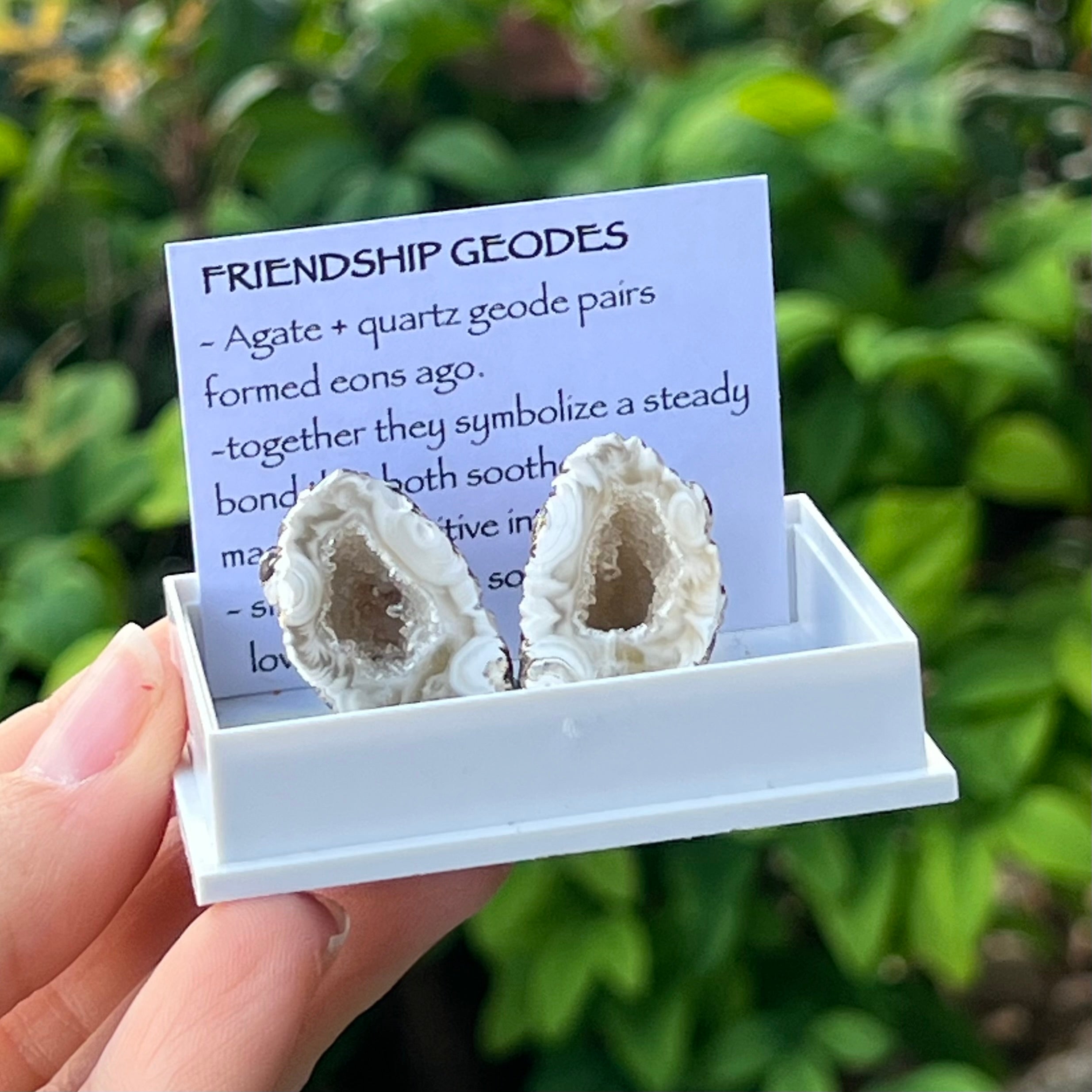 Agate Friendship Geodes ~ Specialty Boxed Crystal