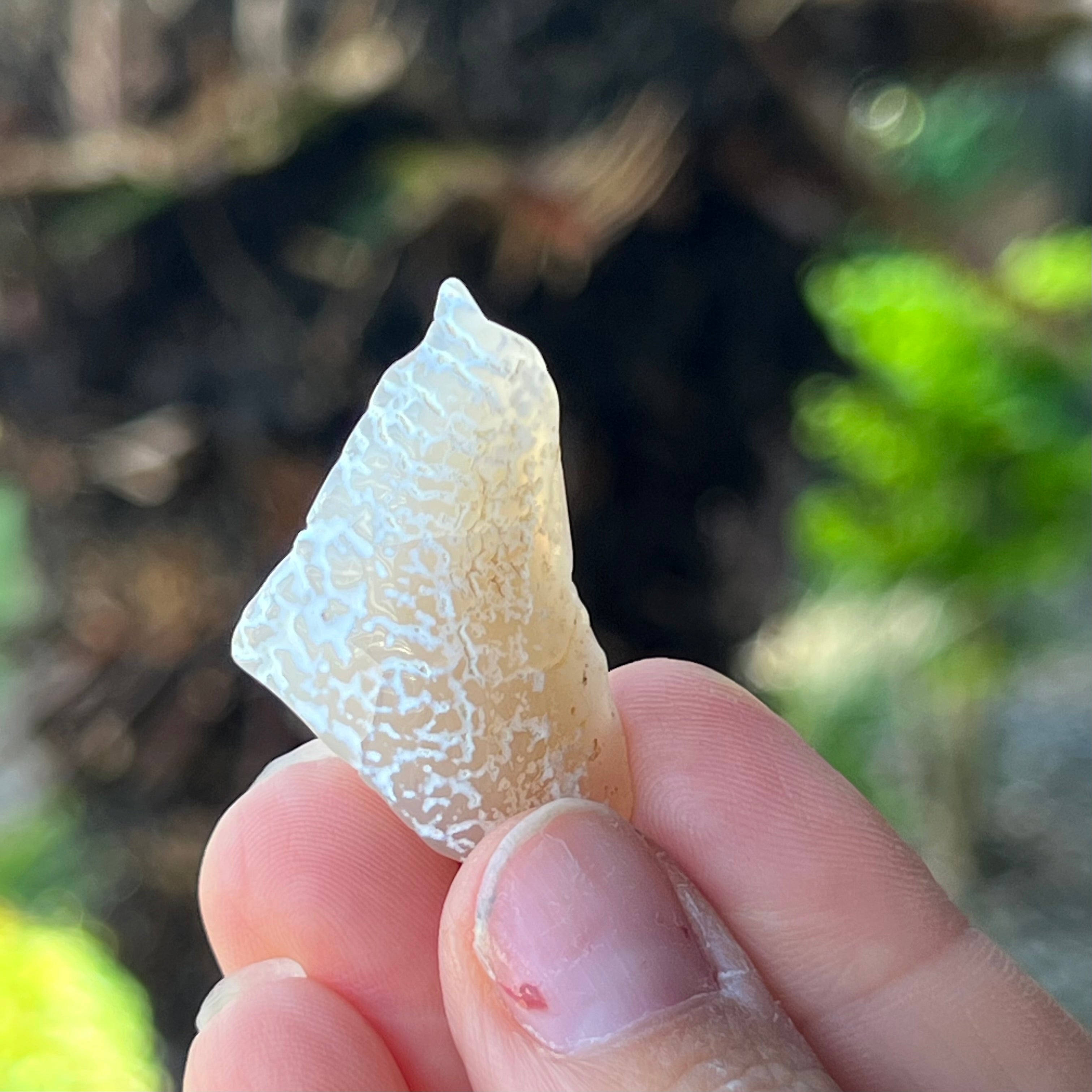 Snake Skin Agate ~ Specialty Boxed Crystal
