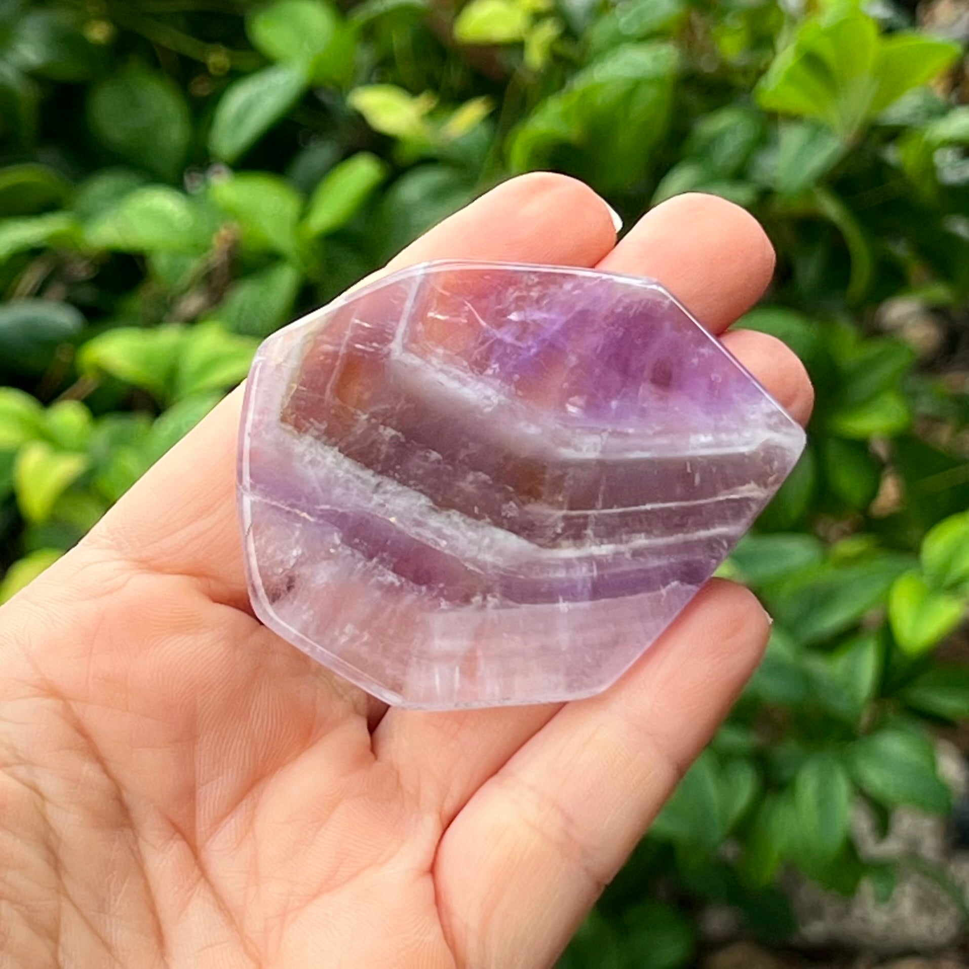 Amethyst ~ Specialty Boxed Crystal