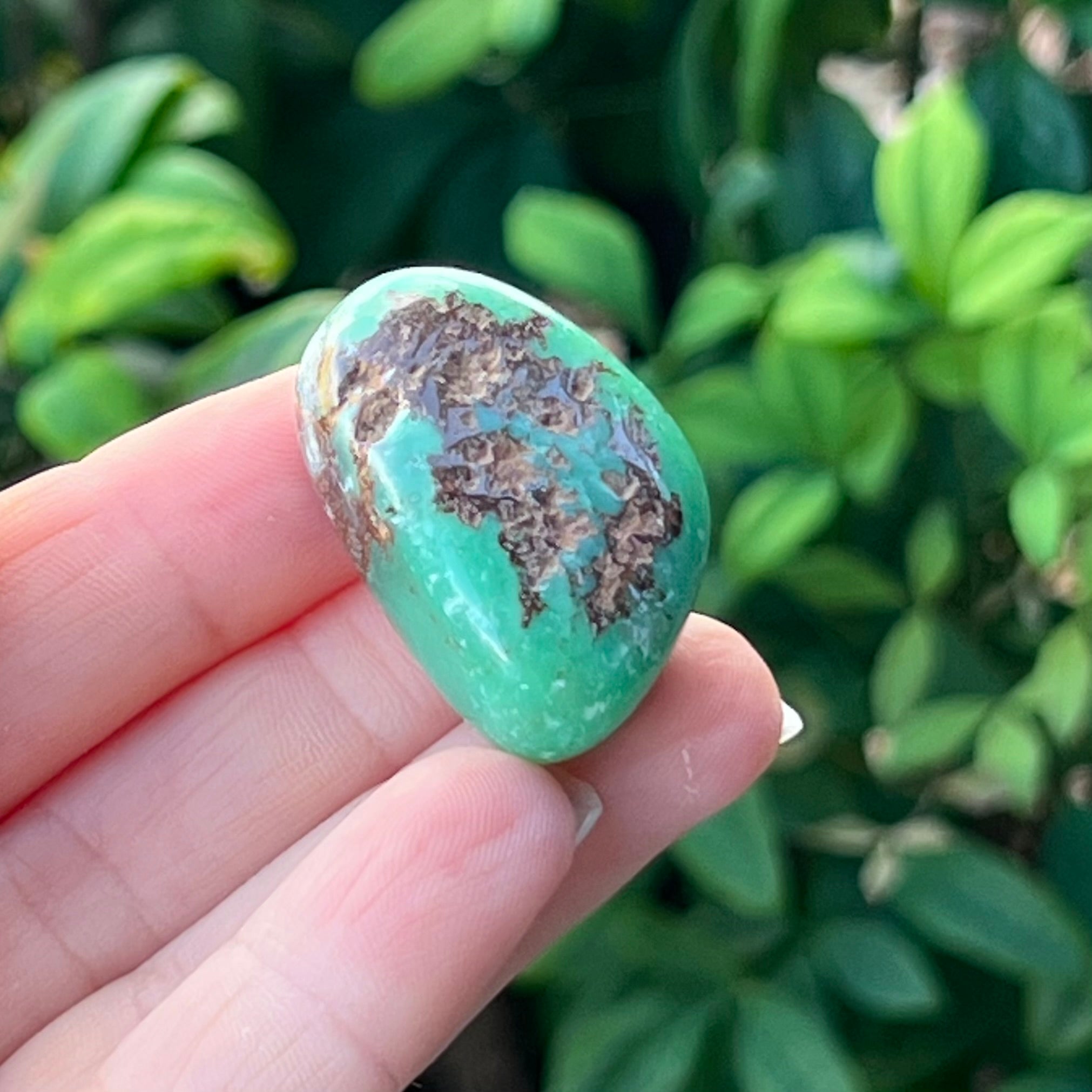 Chrysoprase ~ Specialty Tumble