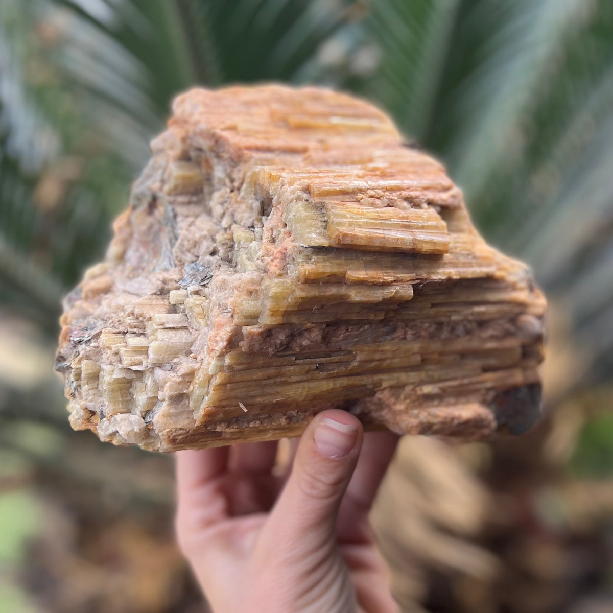 Sale ~ Large Natural Yellow Tourmaline