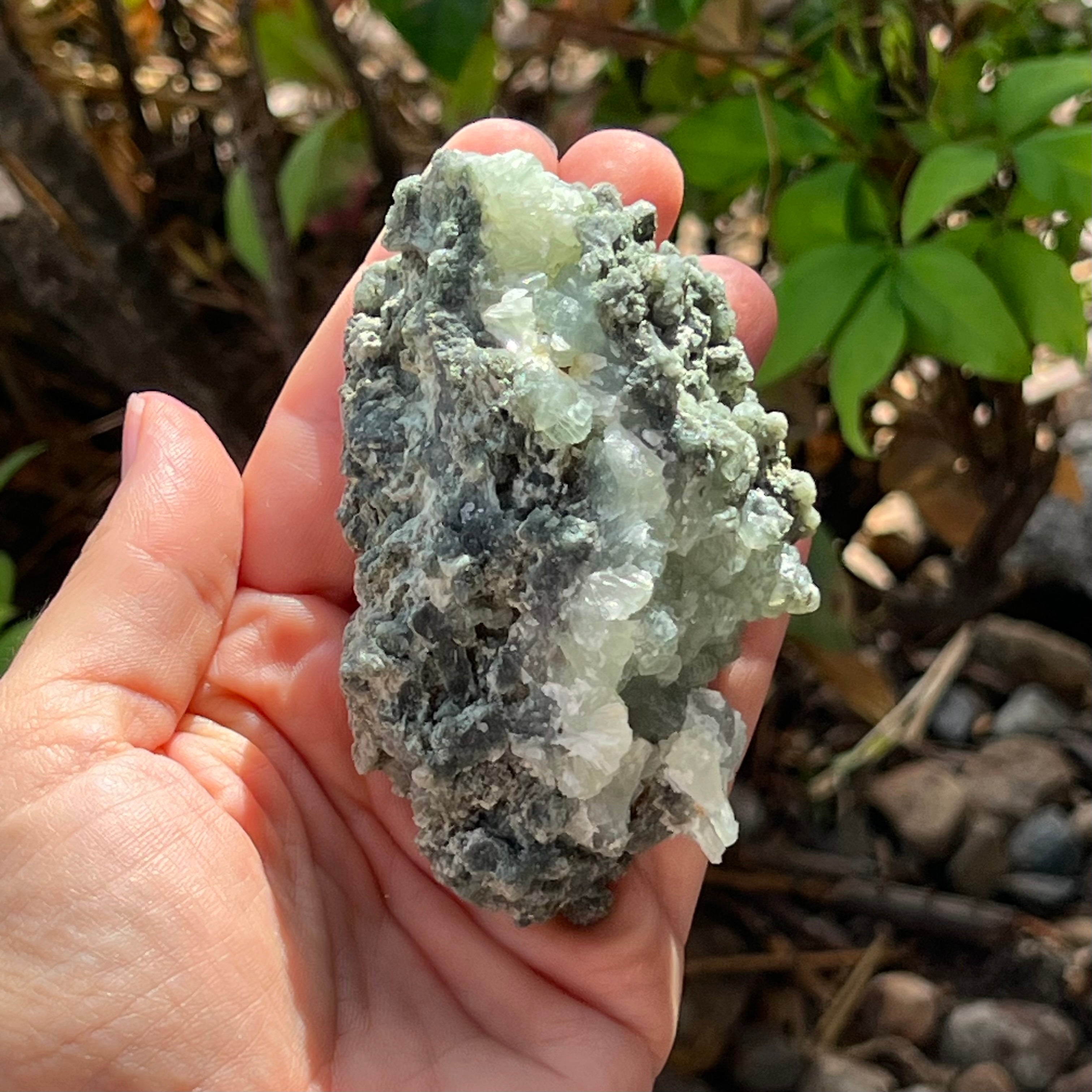 Prehnite ~ Specialty Crystal