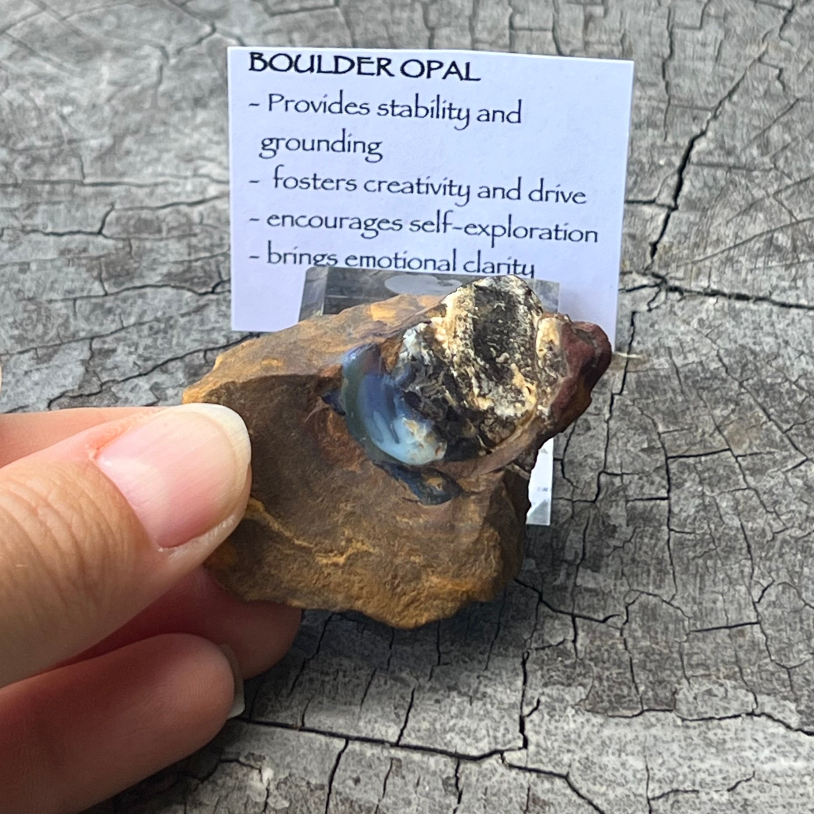 Boulder Opal Specimen ~ Specialty Boxed Crystal