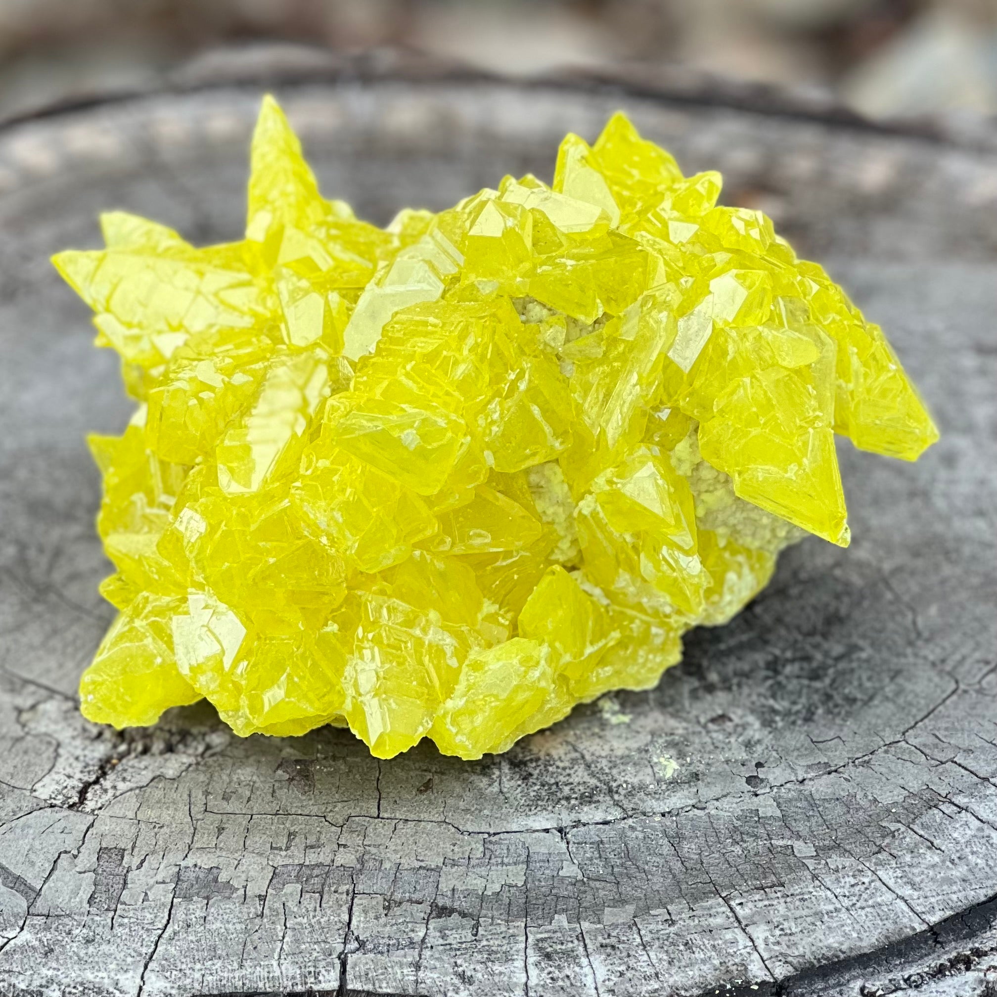 Sulphur Cluster Large