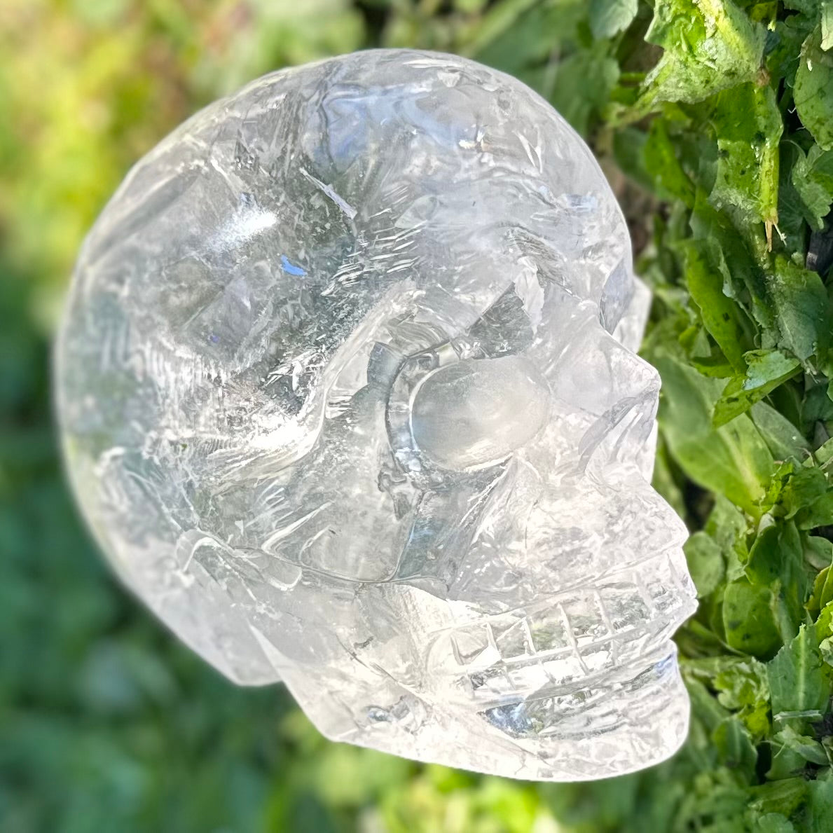 Clear Quartz Skull ~ Carving