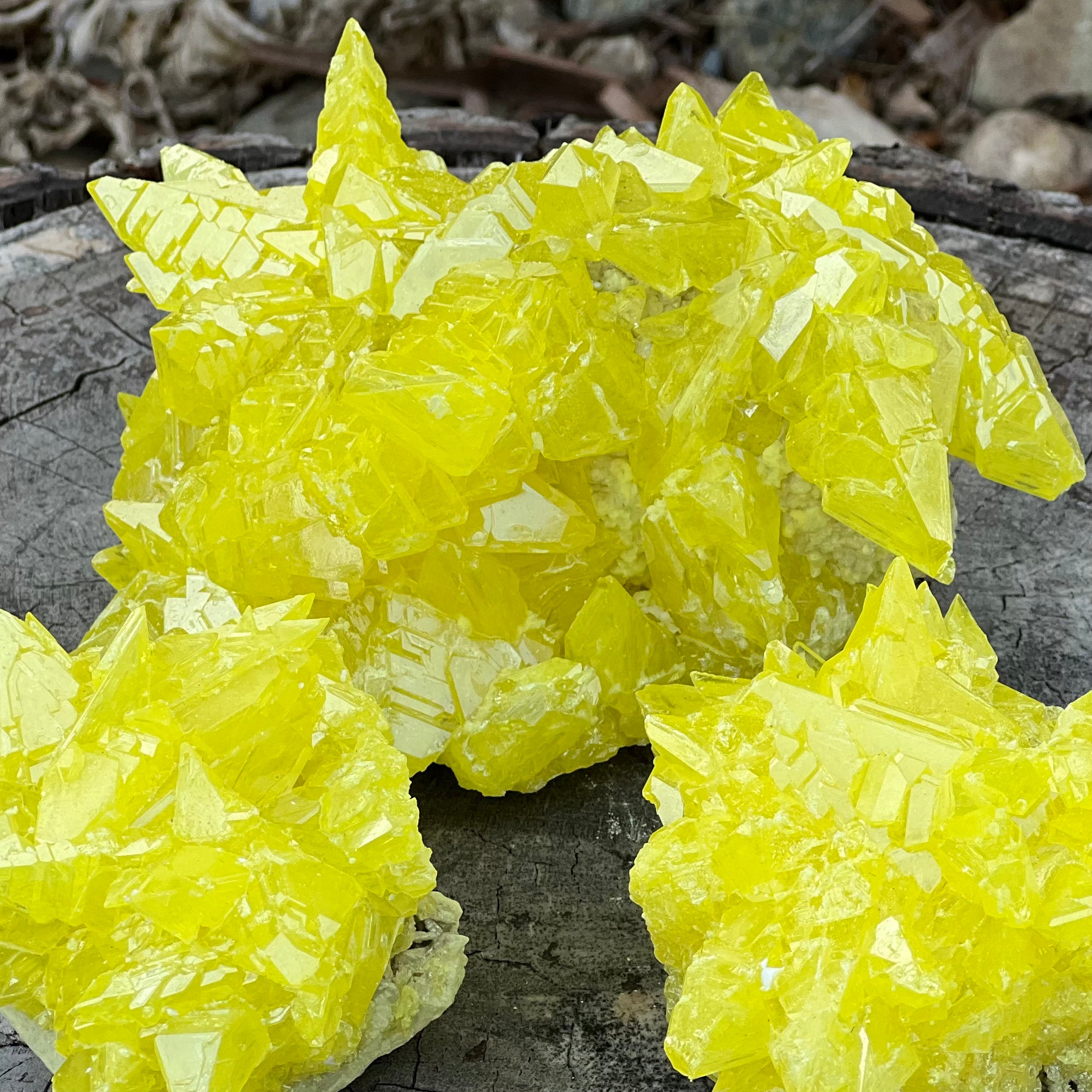 Sulphur Cluster Large