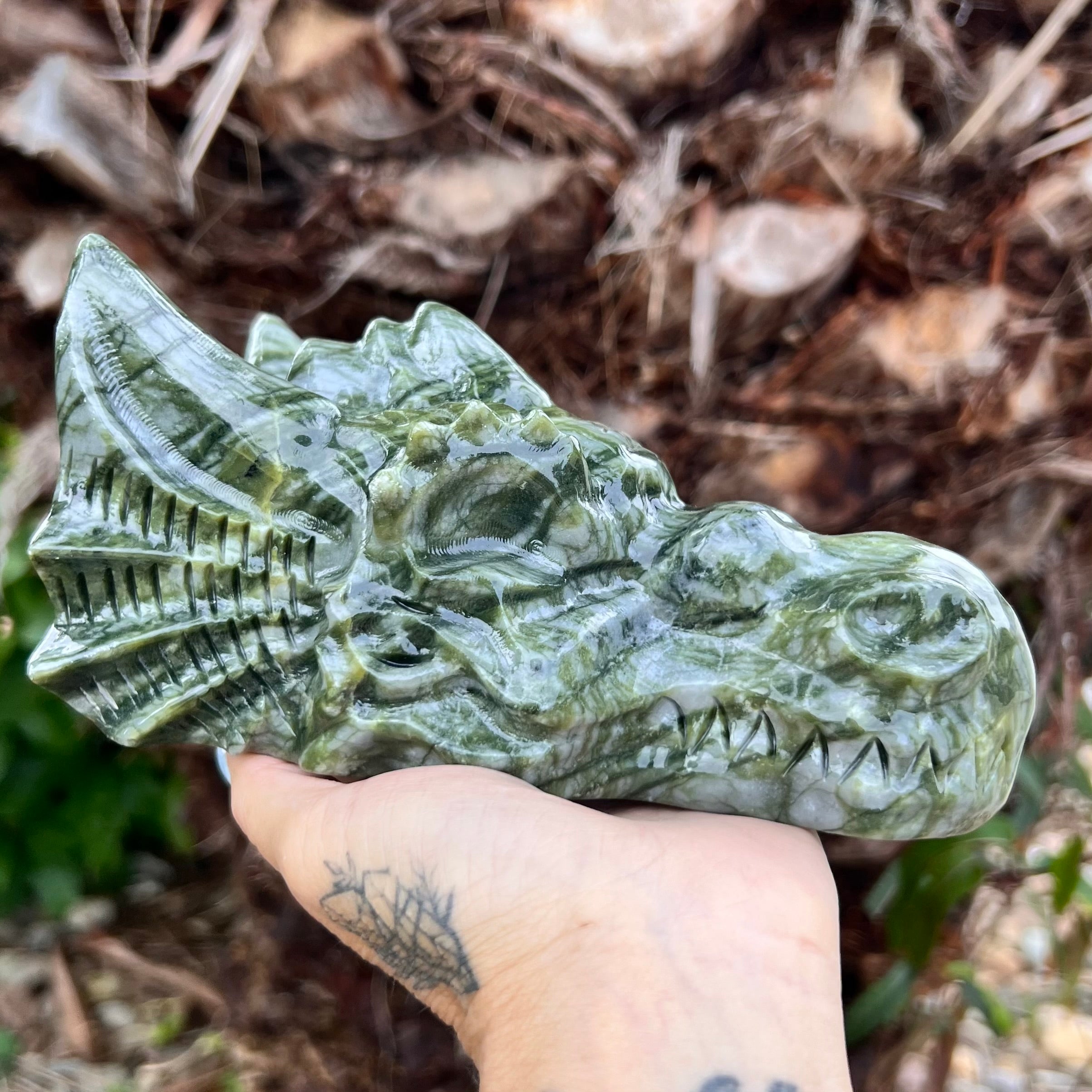 Afghanistan Jade ~ Dragon Head