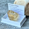 Natural Citrine ~ Specialty Boxed Crystal