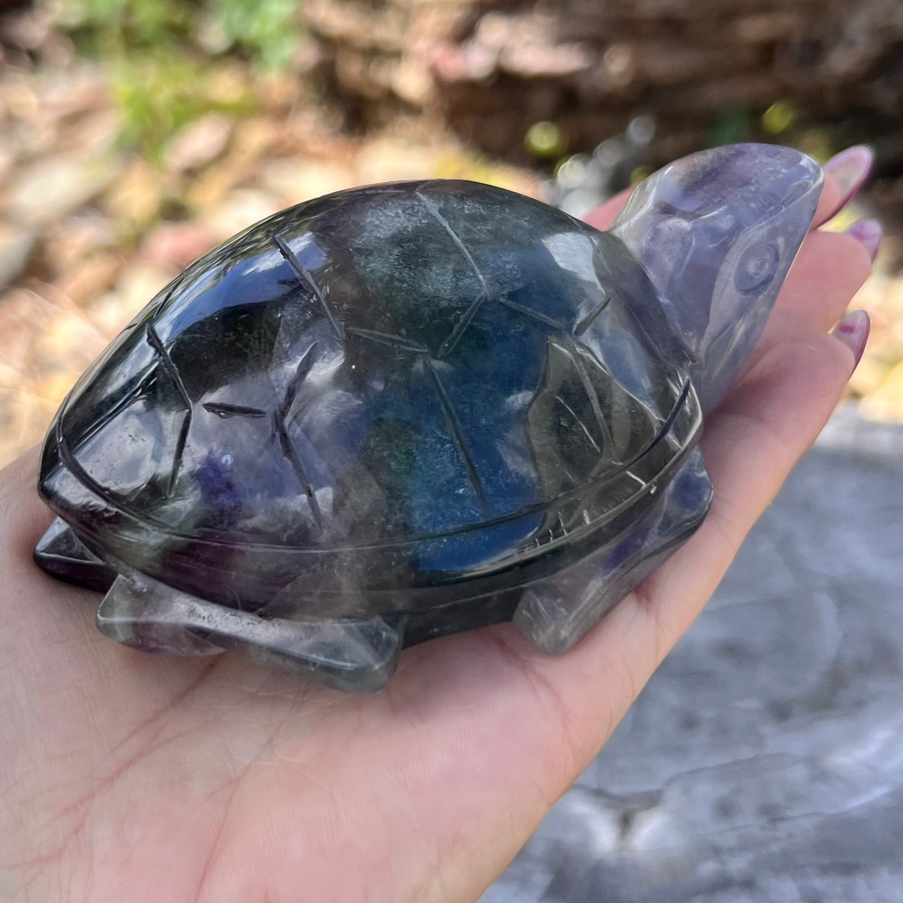 Rainbow Fluorite Turtle Carving