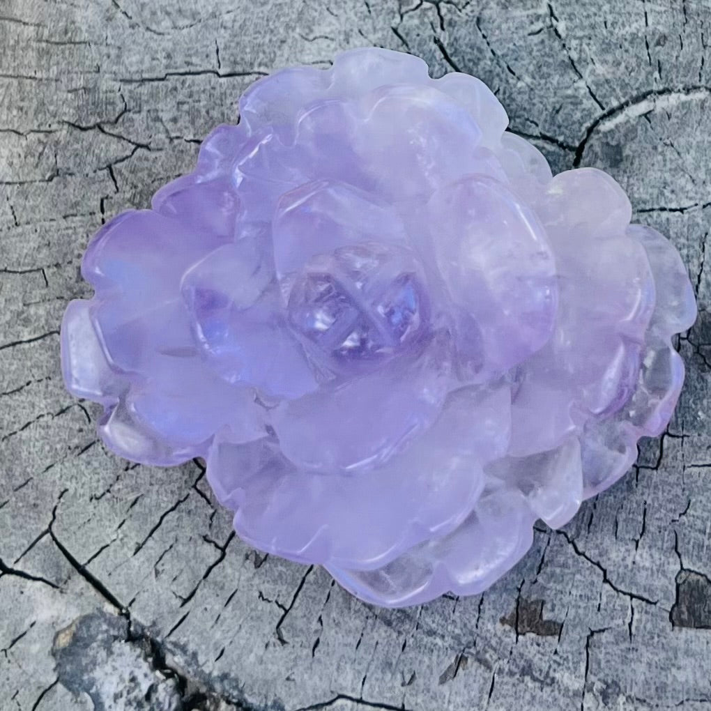 Purple Fluorite Rose