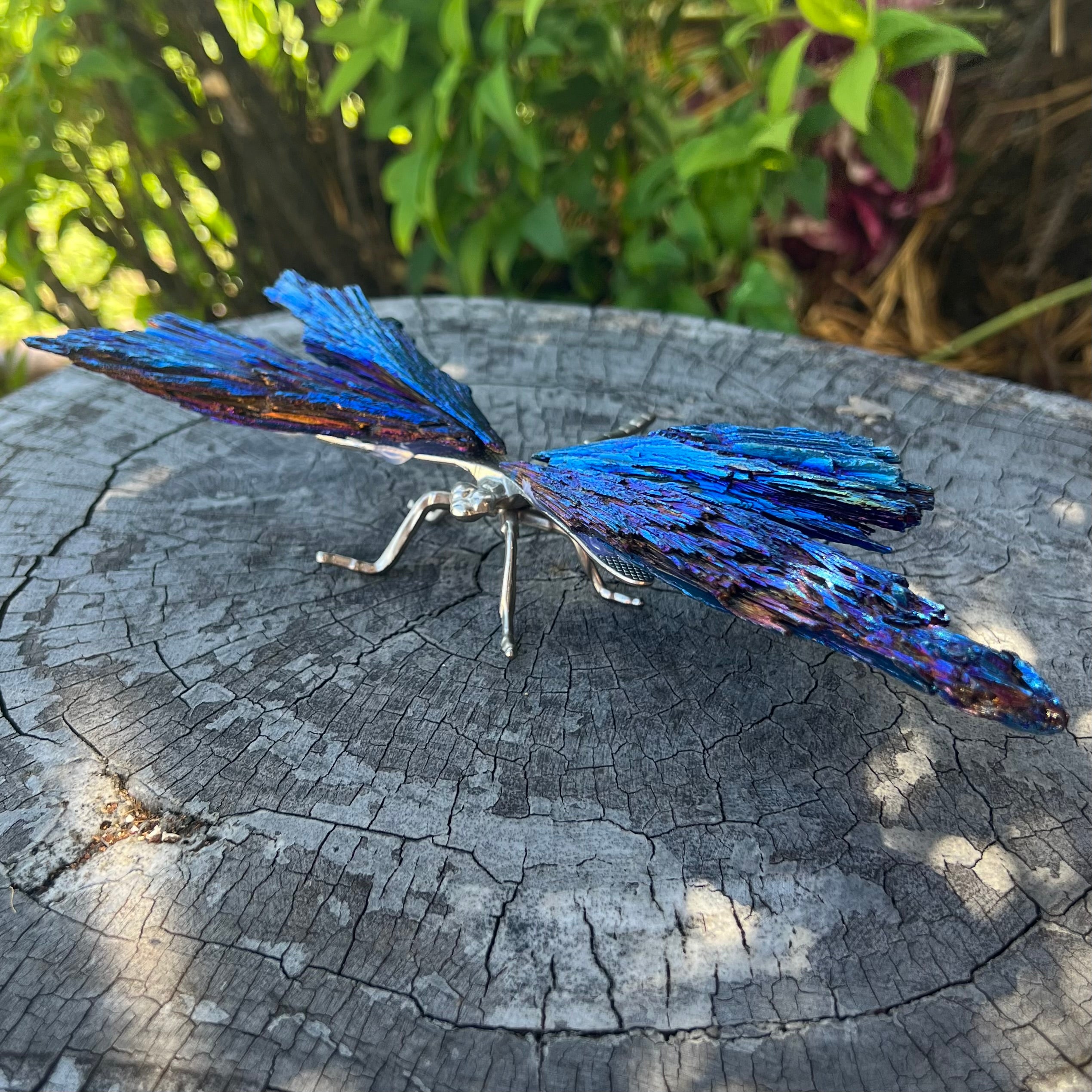Dragonfly ~ Blue Kyanite Electroplate Large