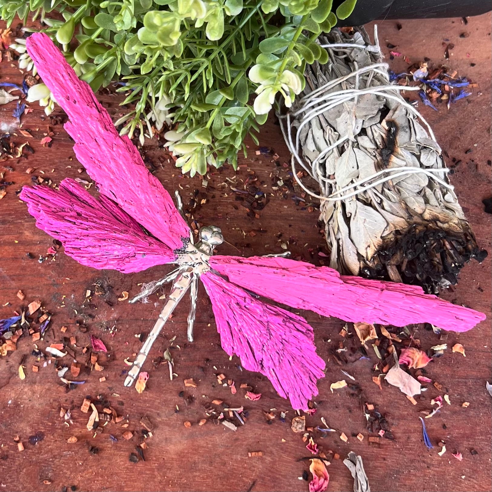 Dragon Fly ~ Kyanite Electroplate ~ Pink