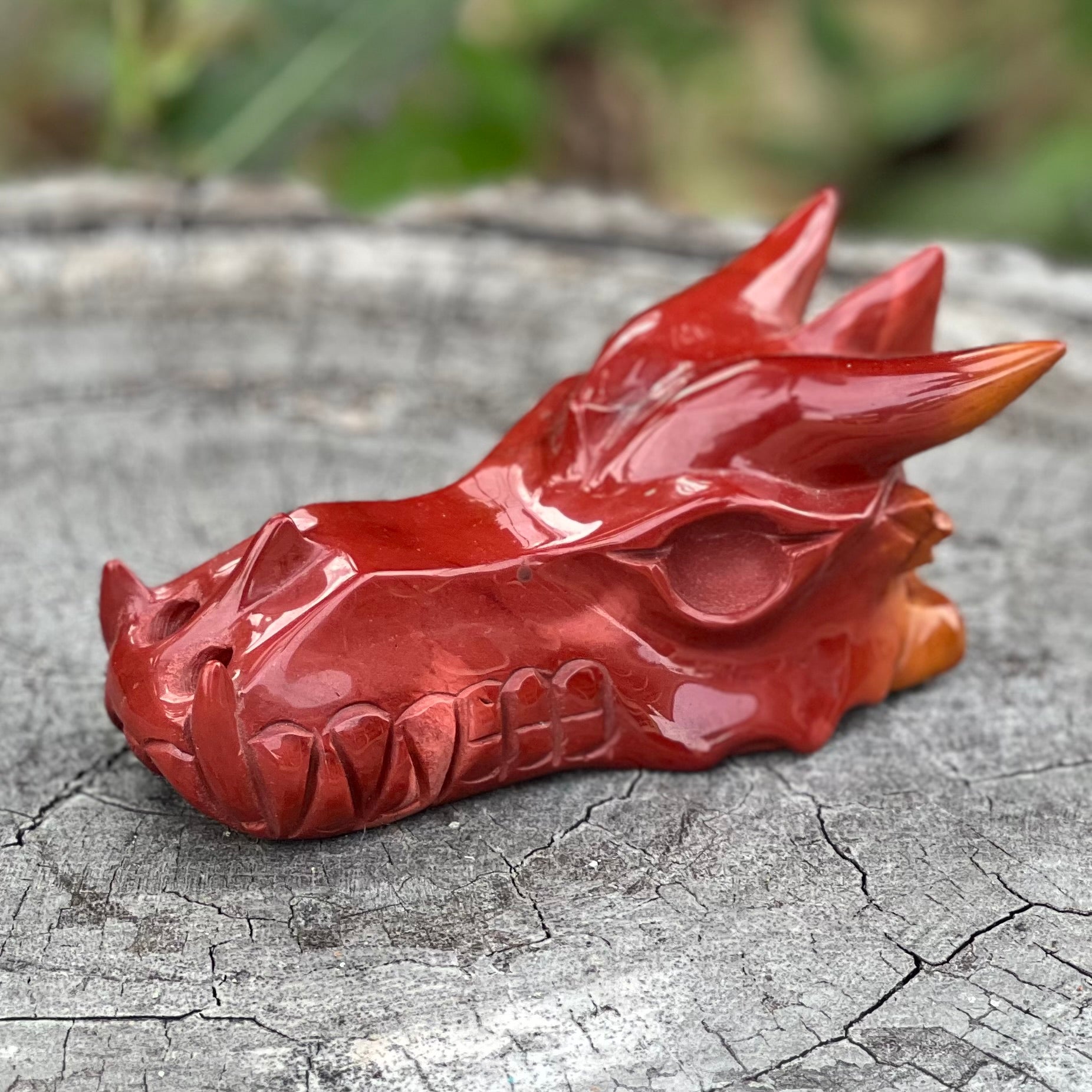 Red Jasper ~ Dragon Head