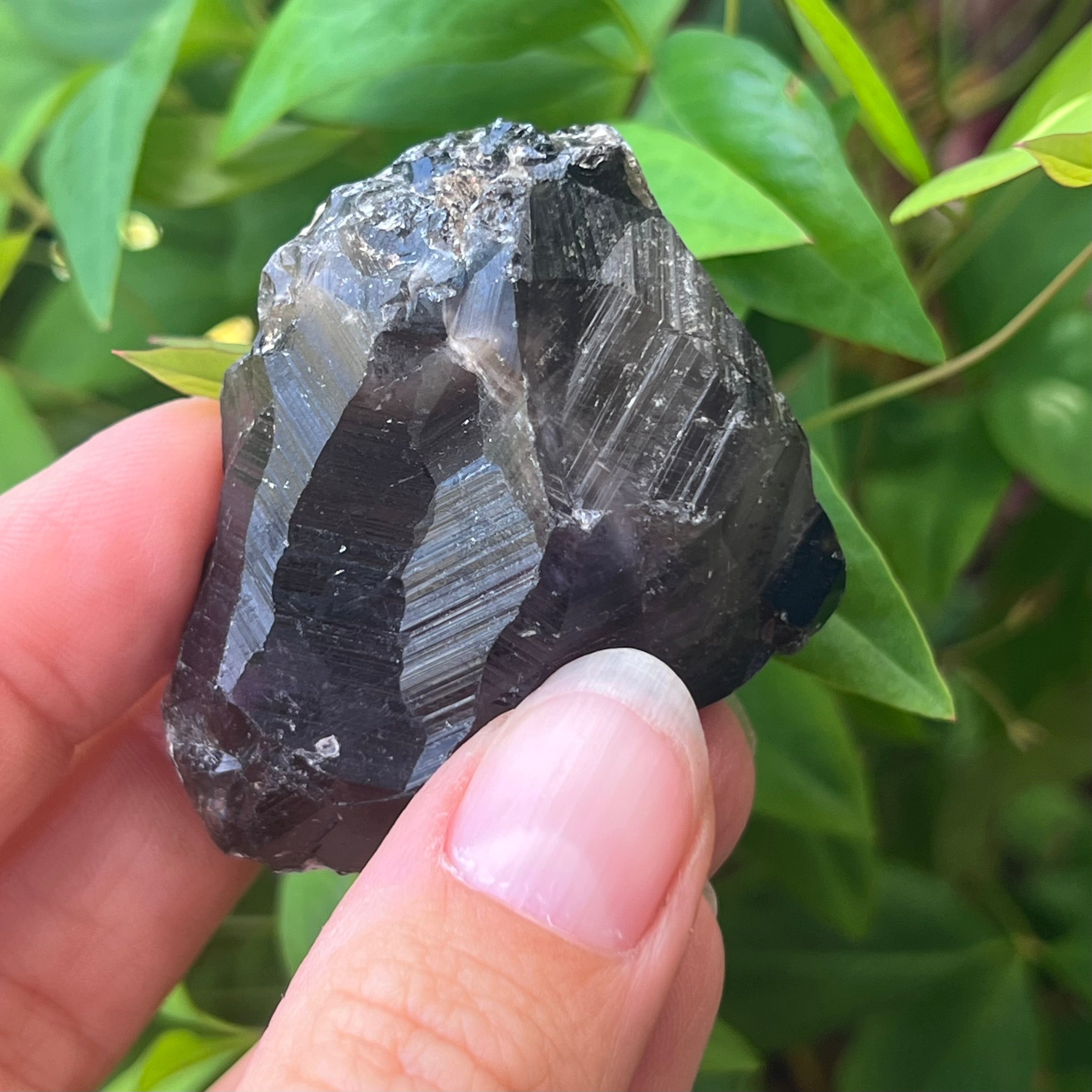 Amethyst ~ Smokey Quartz ~ Citrine ~ Raw Record Keeper