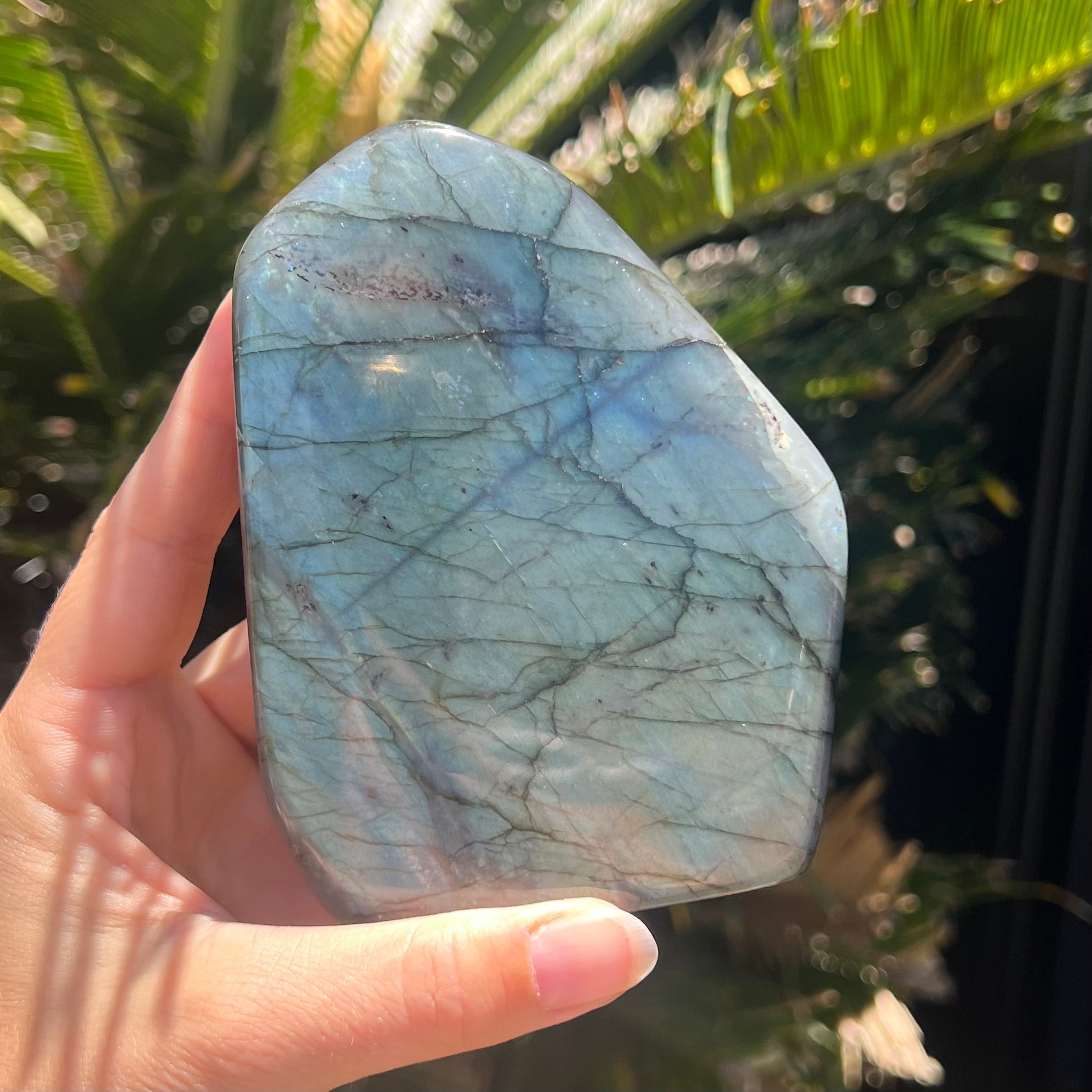 Labradorite Freeform