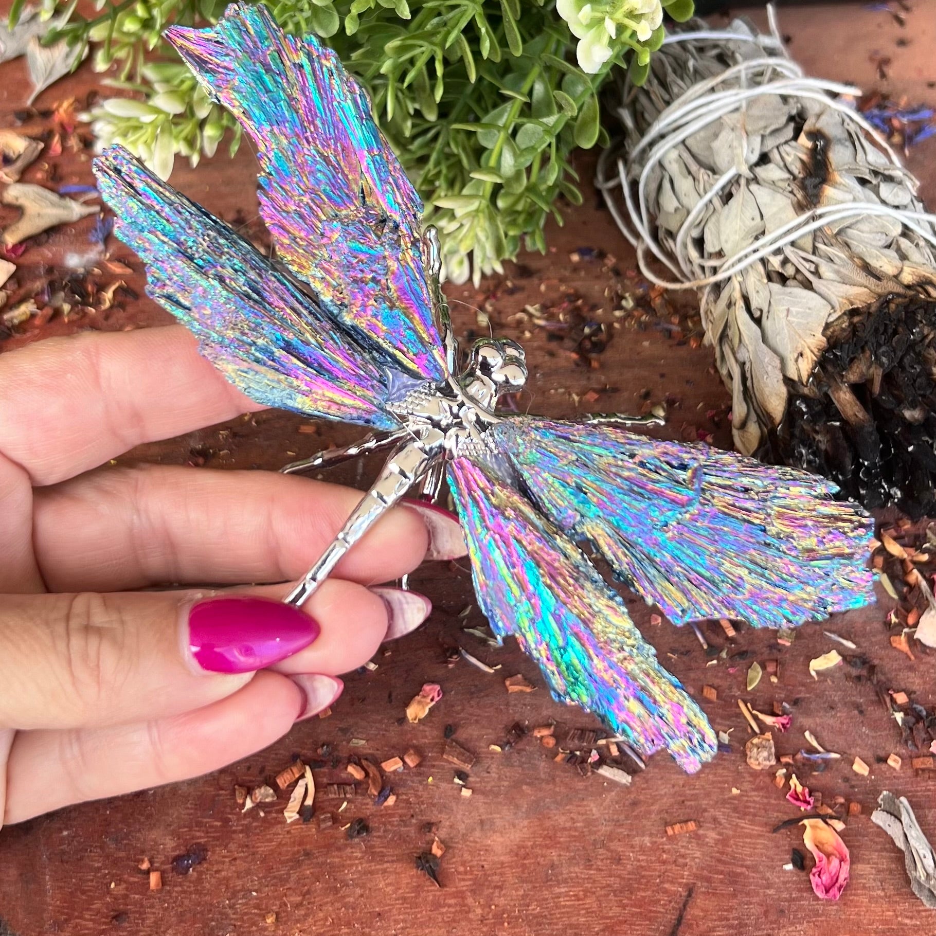 Dragon Fly ~ Rainbow Kyanite Electroplate