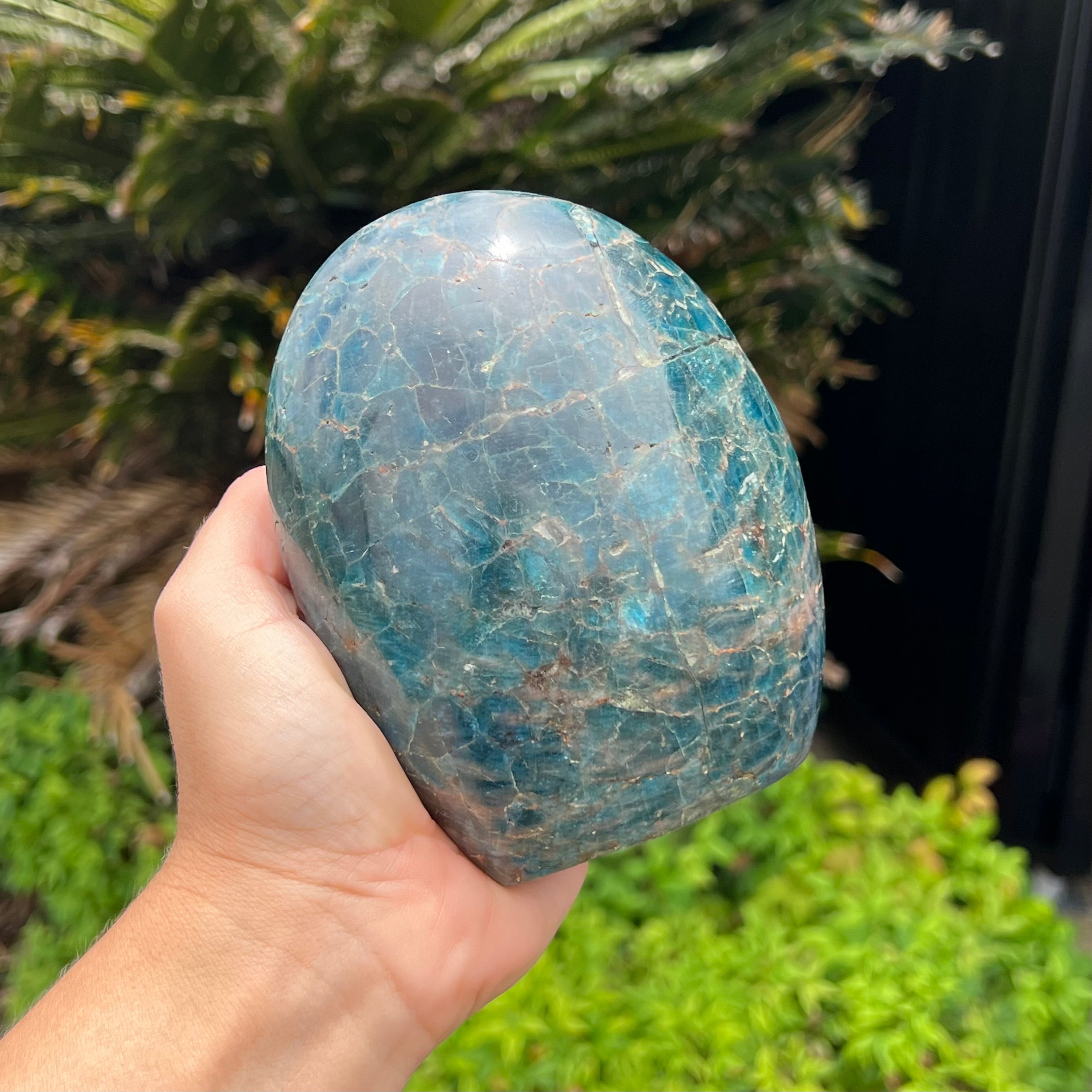 Blue Apatite Freeform