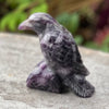 Raven Carving ~ Amethyst