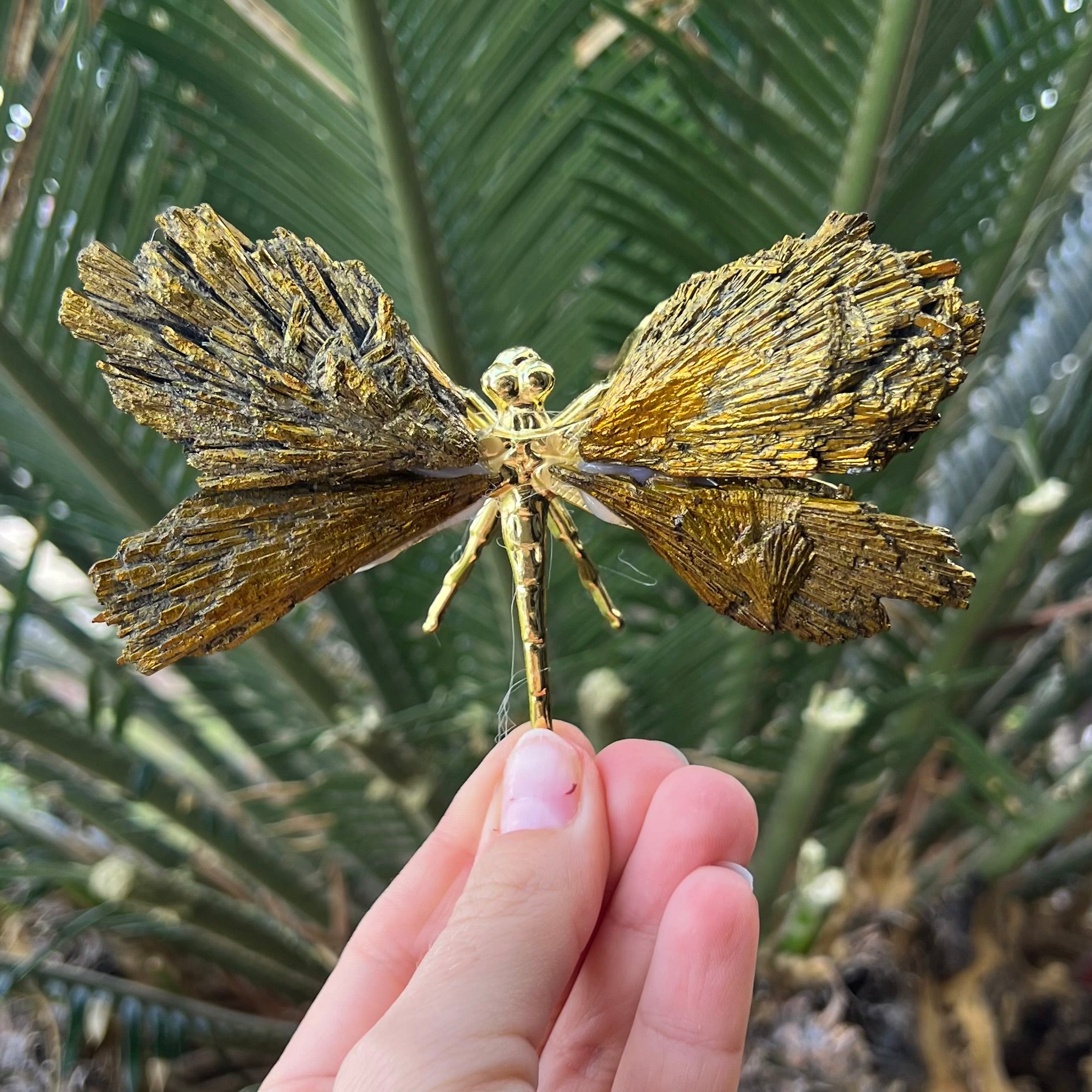 Dragonfly ~ Gold Kyanite Electroplate