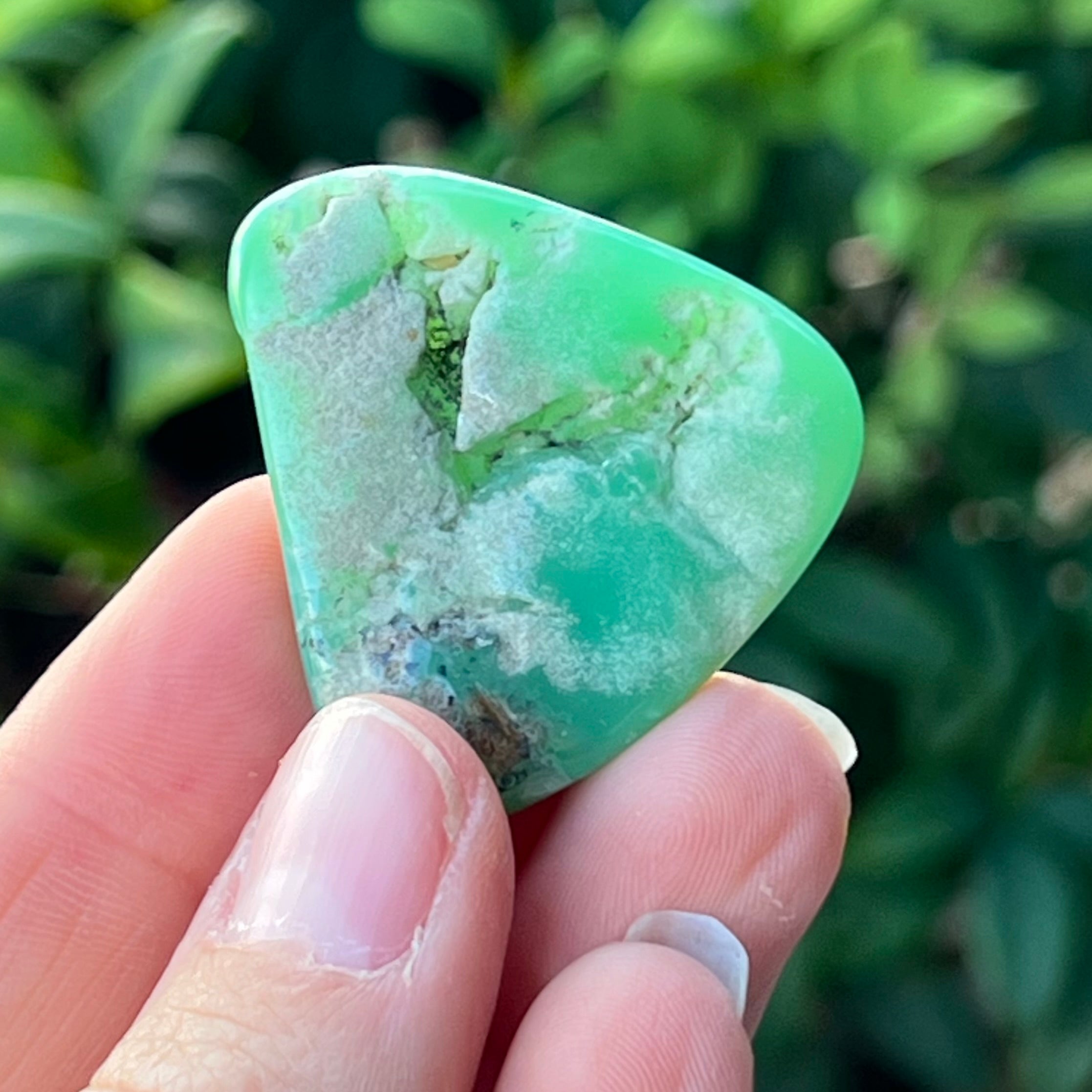 Chrysoprase ~ Specialty Crystal