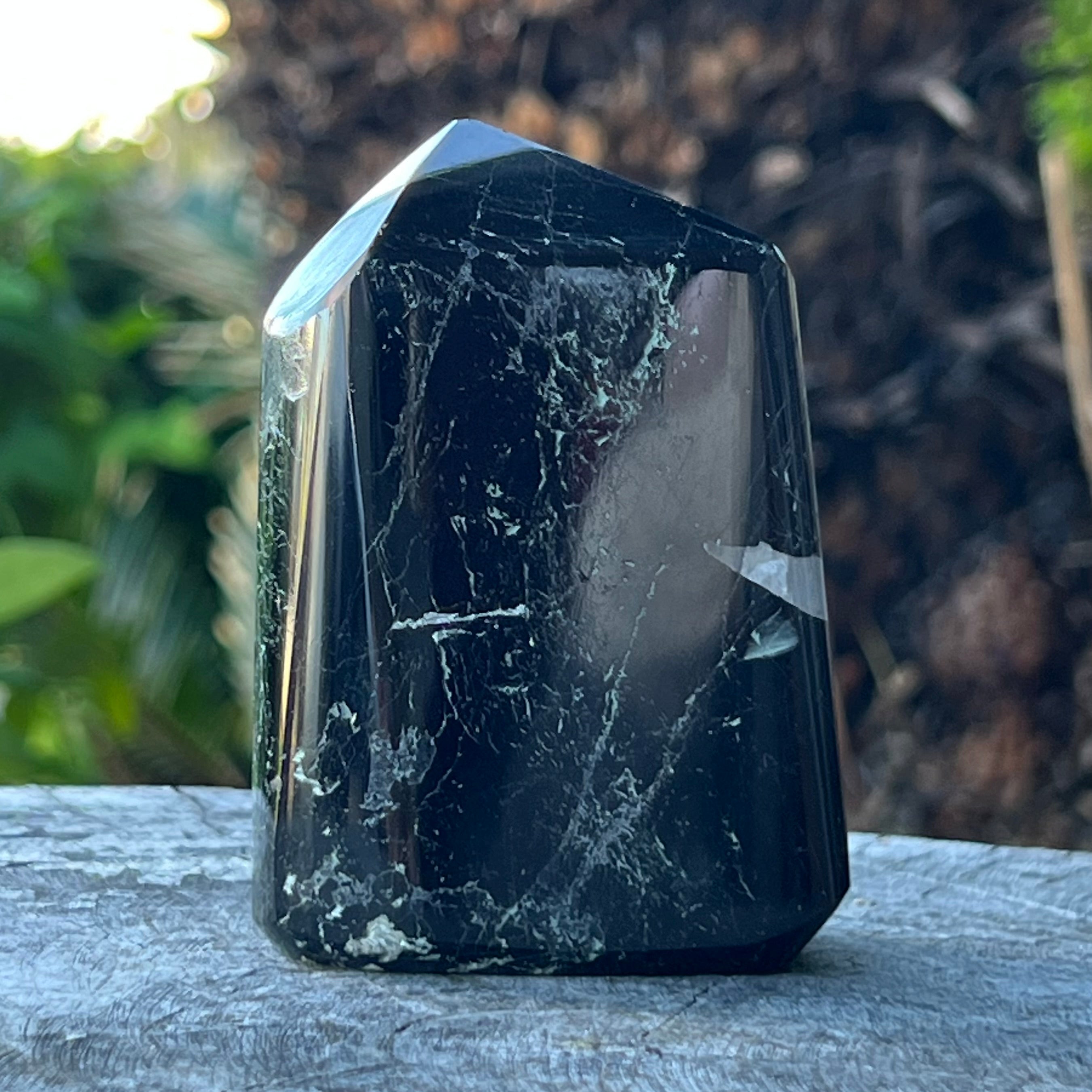 Black Tourmaline Freeform