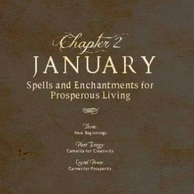 Spells for a Magical Year ~ 100 Rituals and Enchantments for Prosperity, Power, and Fortune.