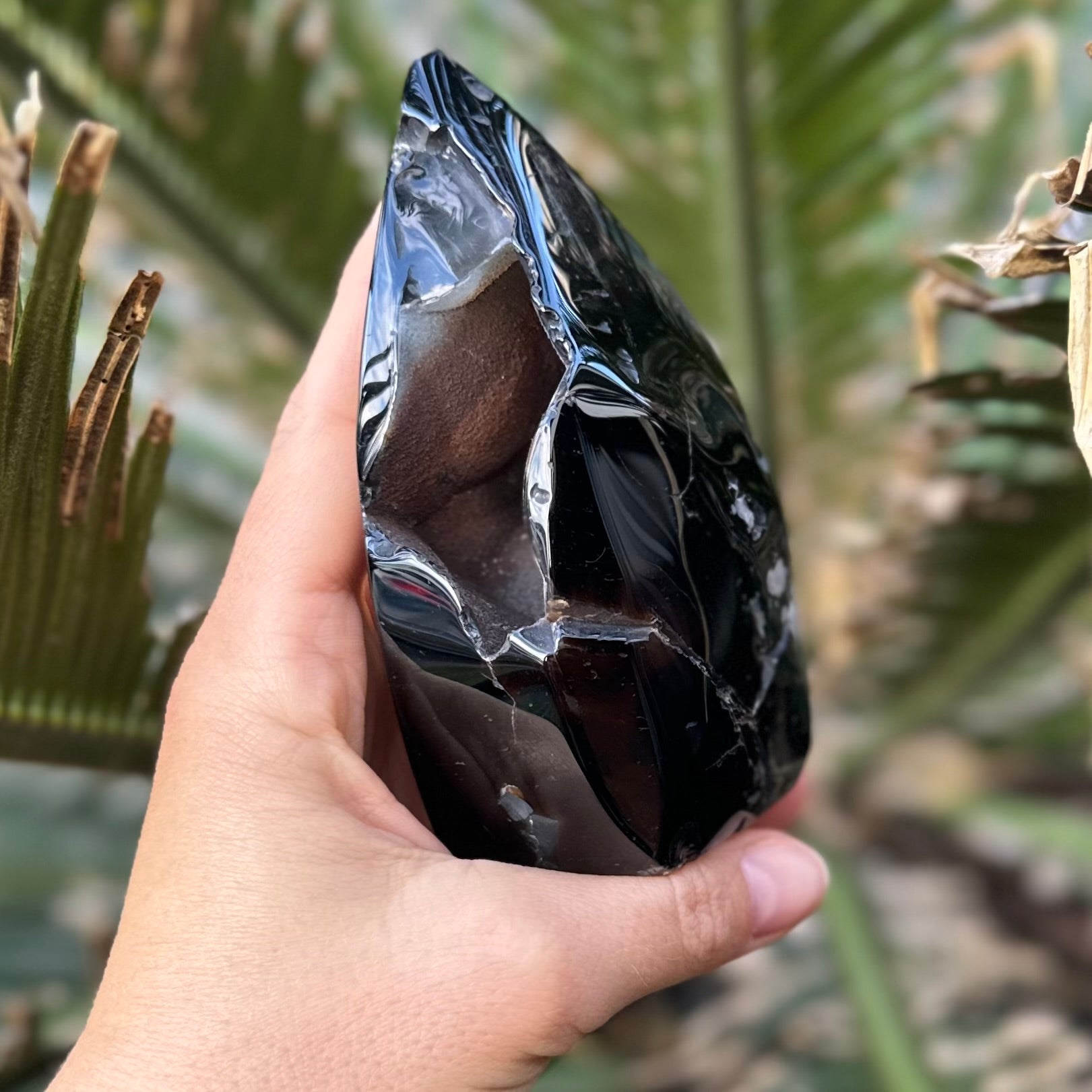 Black Flower Agate Carving