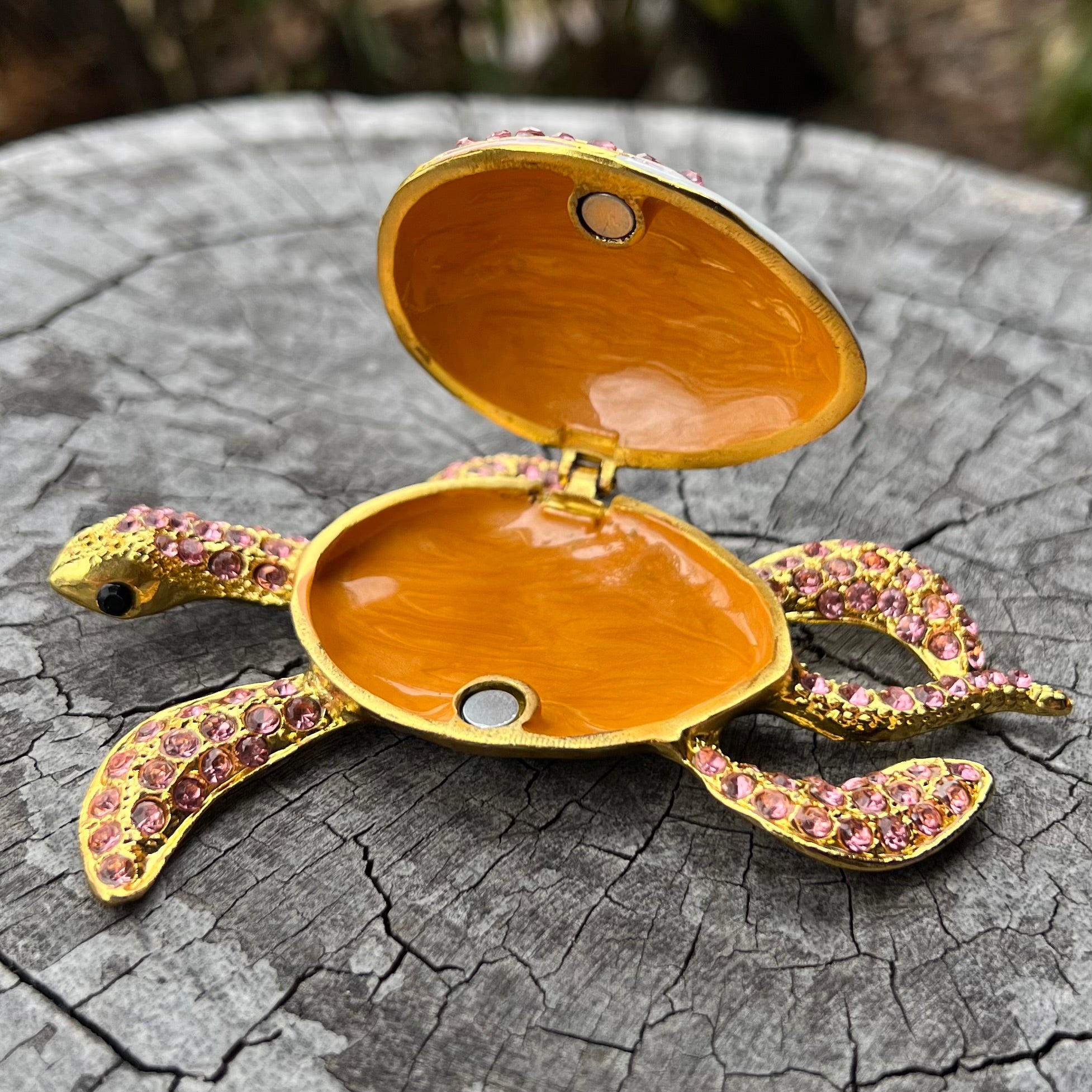 Turtle ~ Trinket Box