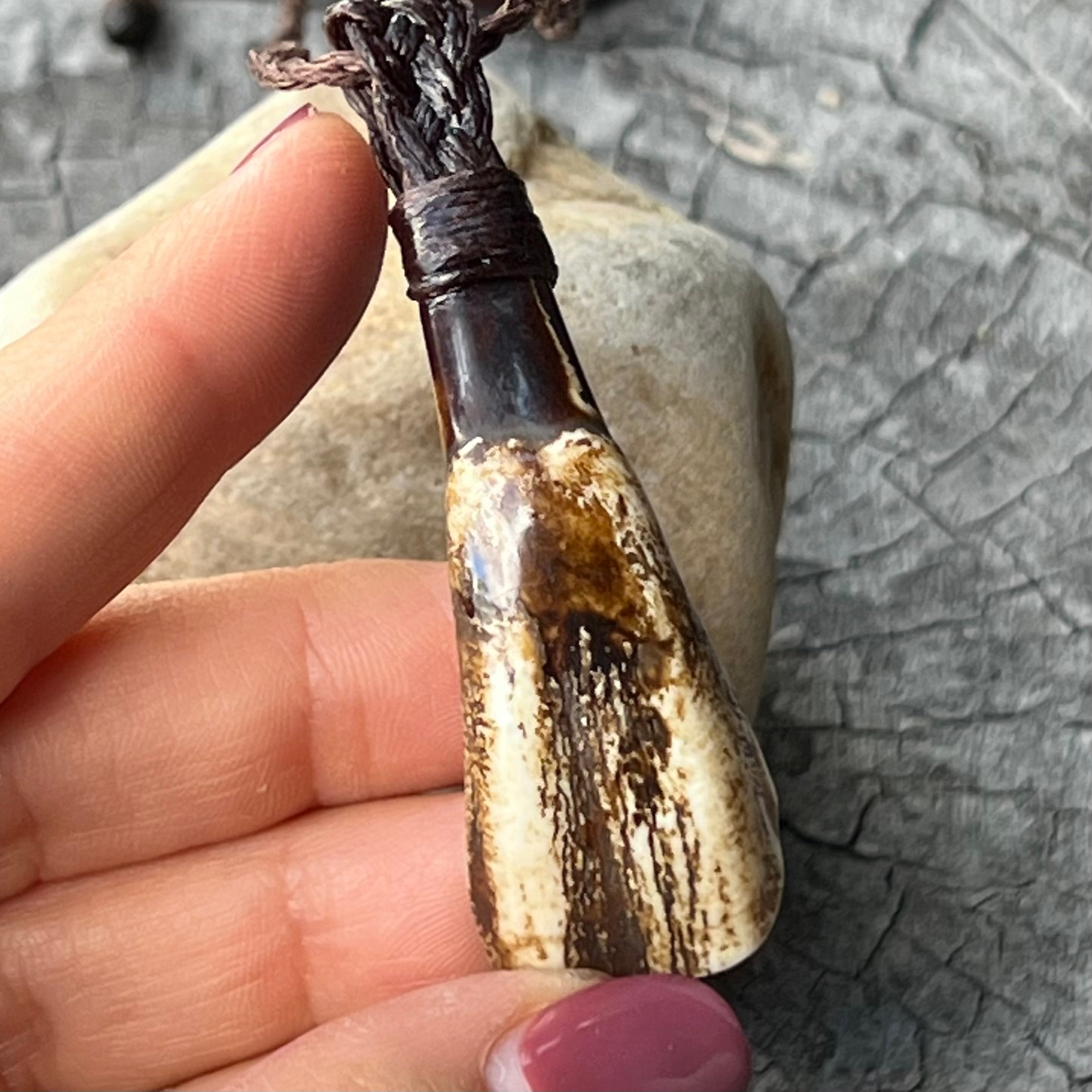 Muse Medicine ~ Buffalo Tooth Totem ~ Talisman