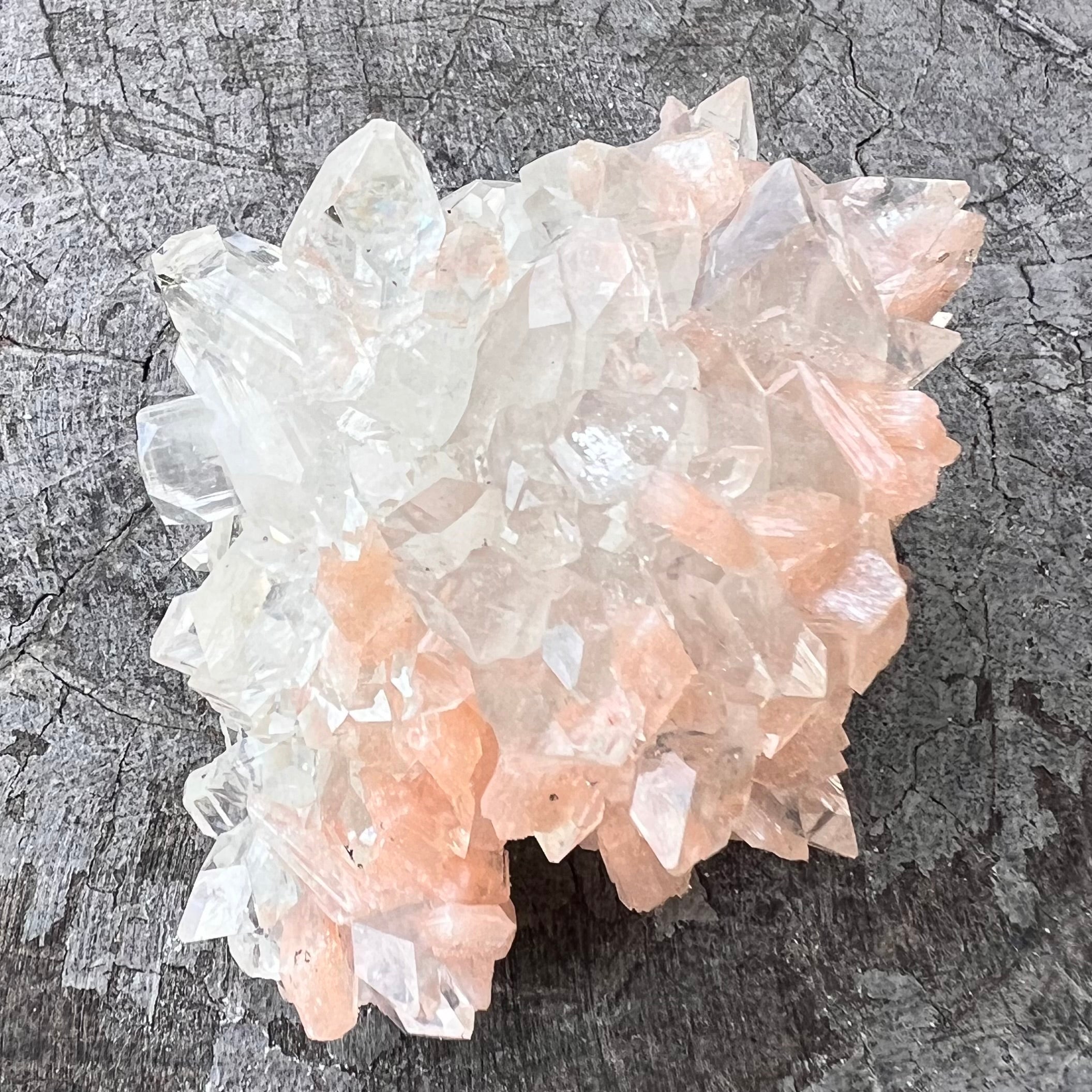 Natural Apophyllite Cluster