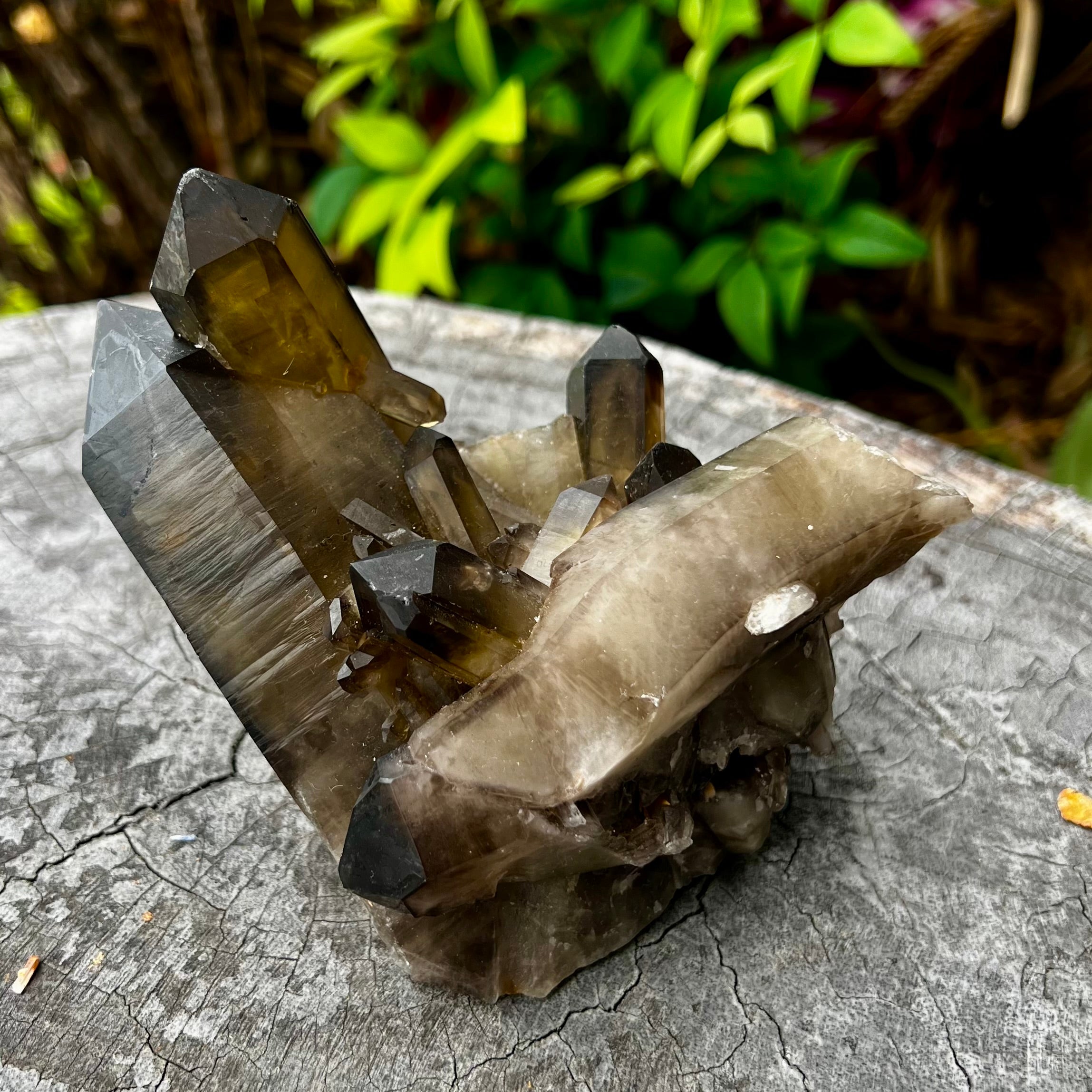 Smokey Quartz Cluster