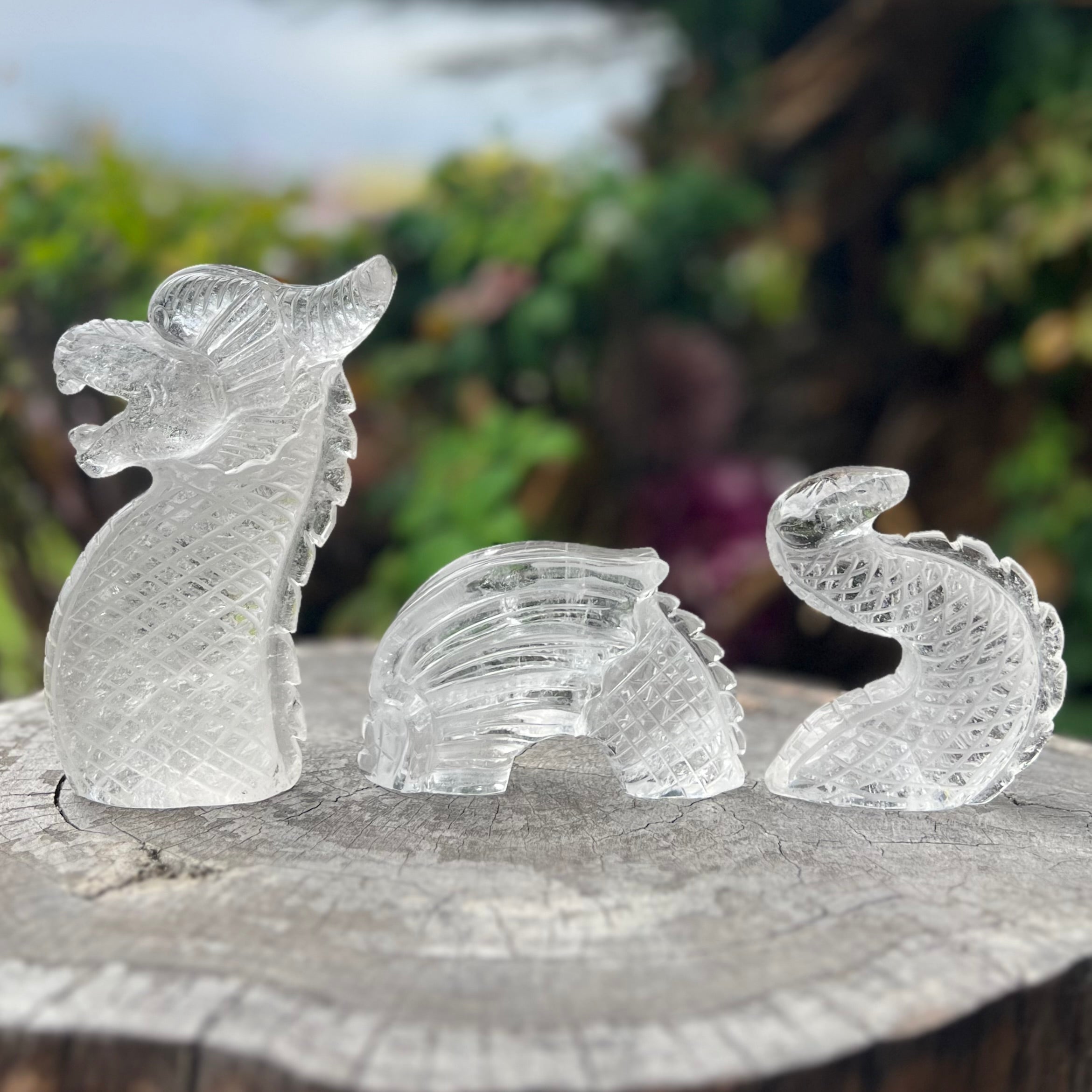 Clear Quartz Sea Dragon Carving ~ 3 Piece Set