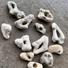 Hag Stone ~ Fertility & Protection ~ Small