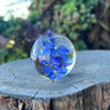 Blue Himalayan Poppy Everlasting Flower Sphere