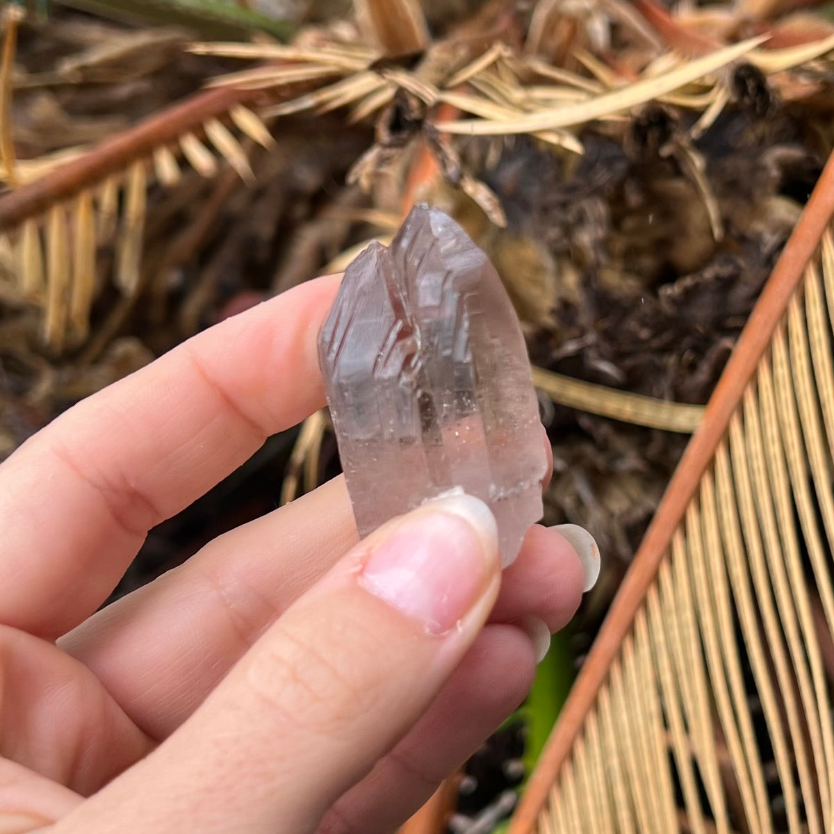 Smokey Quartz Twin Point ~ Specialty Boxed Crystal