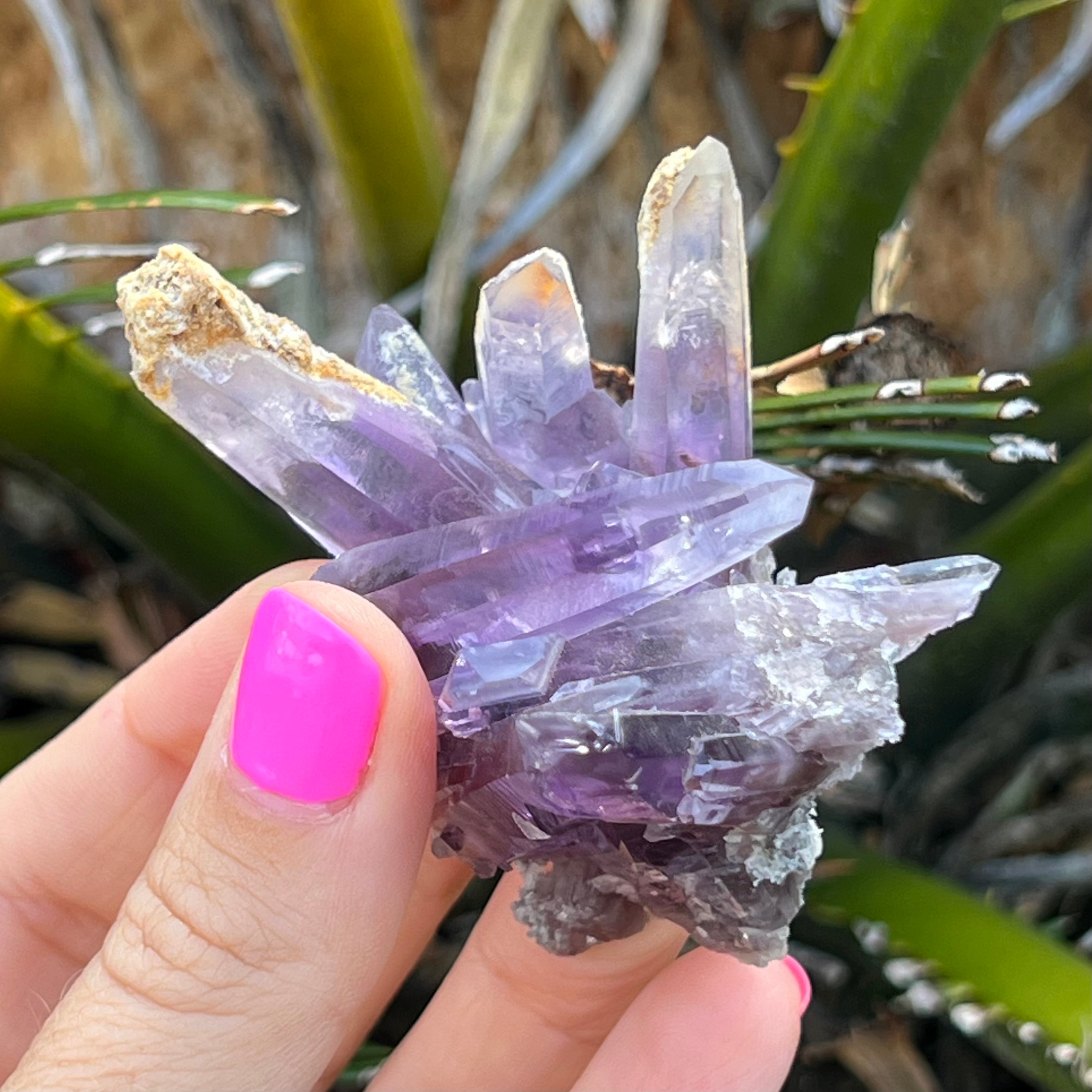 Vera Cruz Amethyst