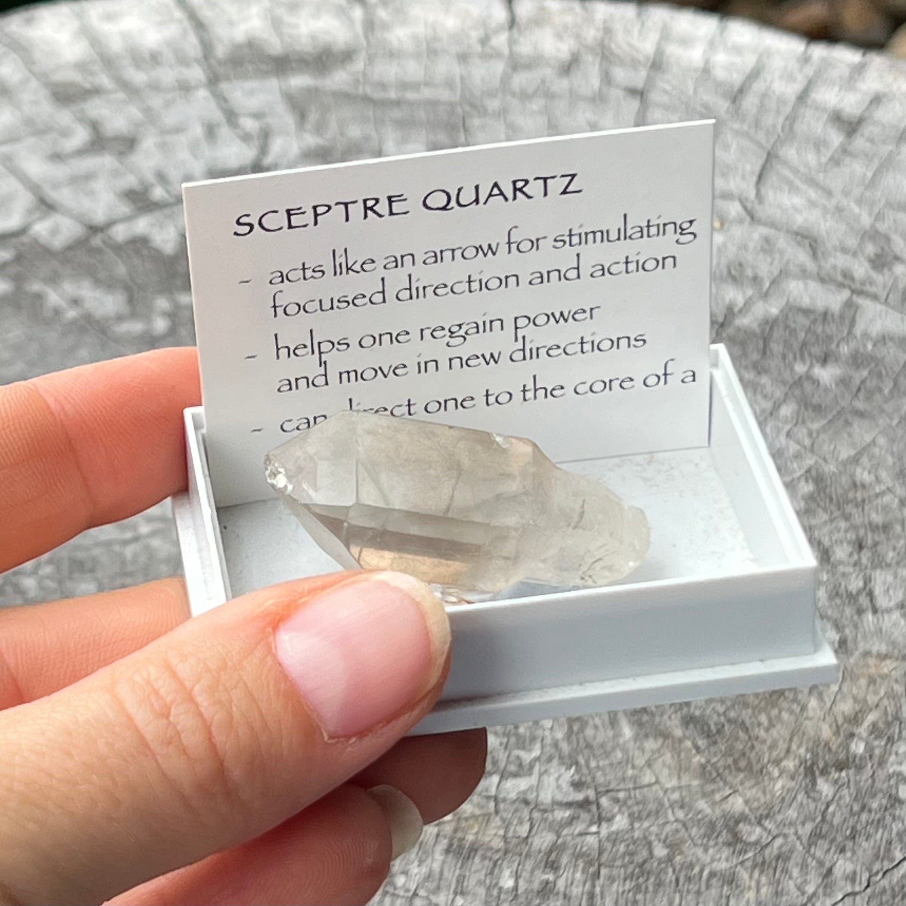 Sceptre Quartz~ Specialty Boxed Crystal