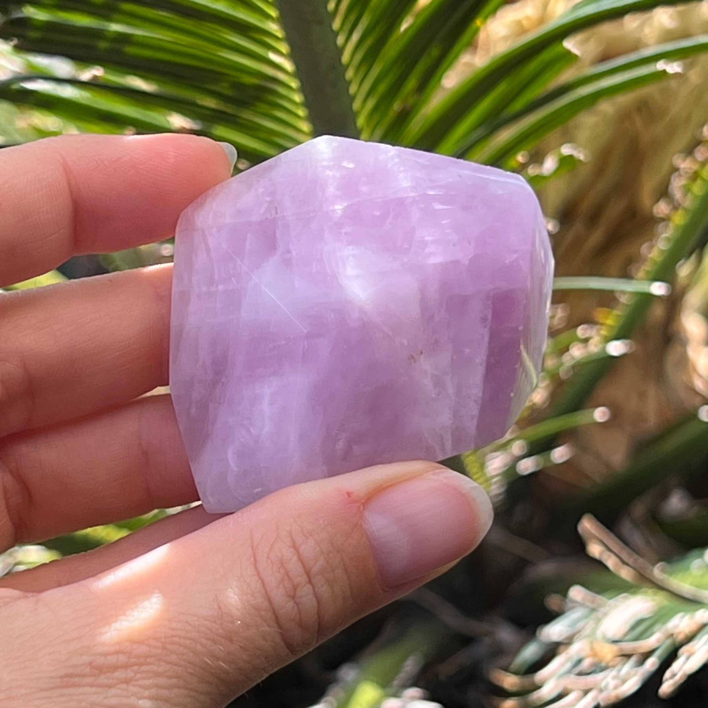 Kunzite Freeform Point