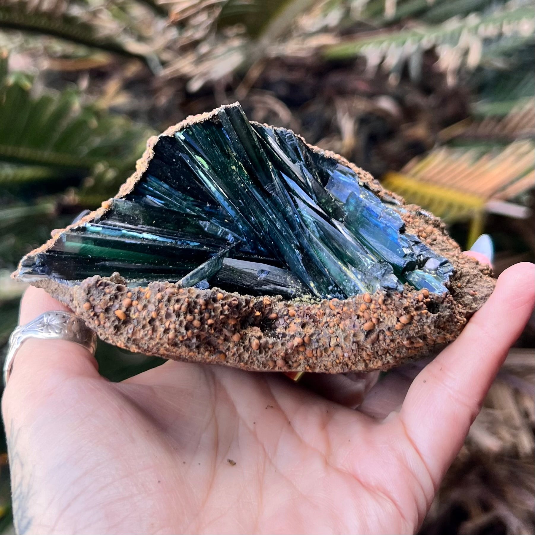 RARE… Vivianite on Matrix Specimen