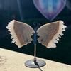 Clear Quartz Butterfly Carving