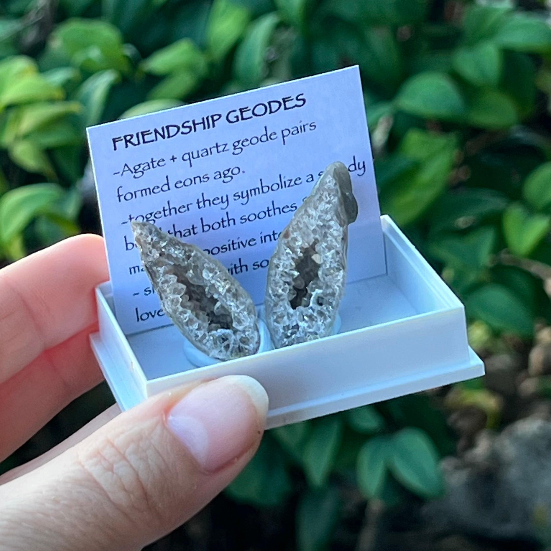 Agate Friendship Geodes ~ Specialty Boxed Crystal