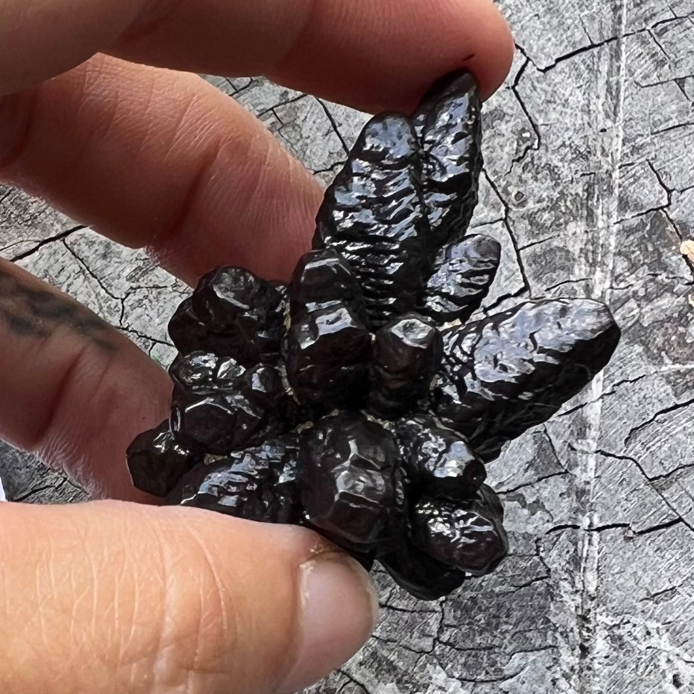 Prophecy Stone ~ Specialty Crystal ~ 5