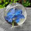 Sphère de fleur éternelle d'hortensia bleu