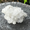 Clear Quartz Natural Raw Cluster