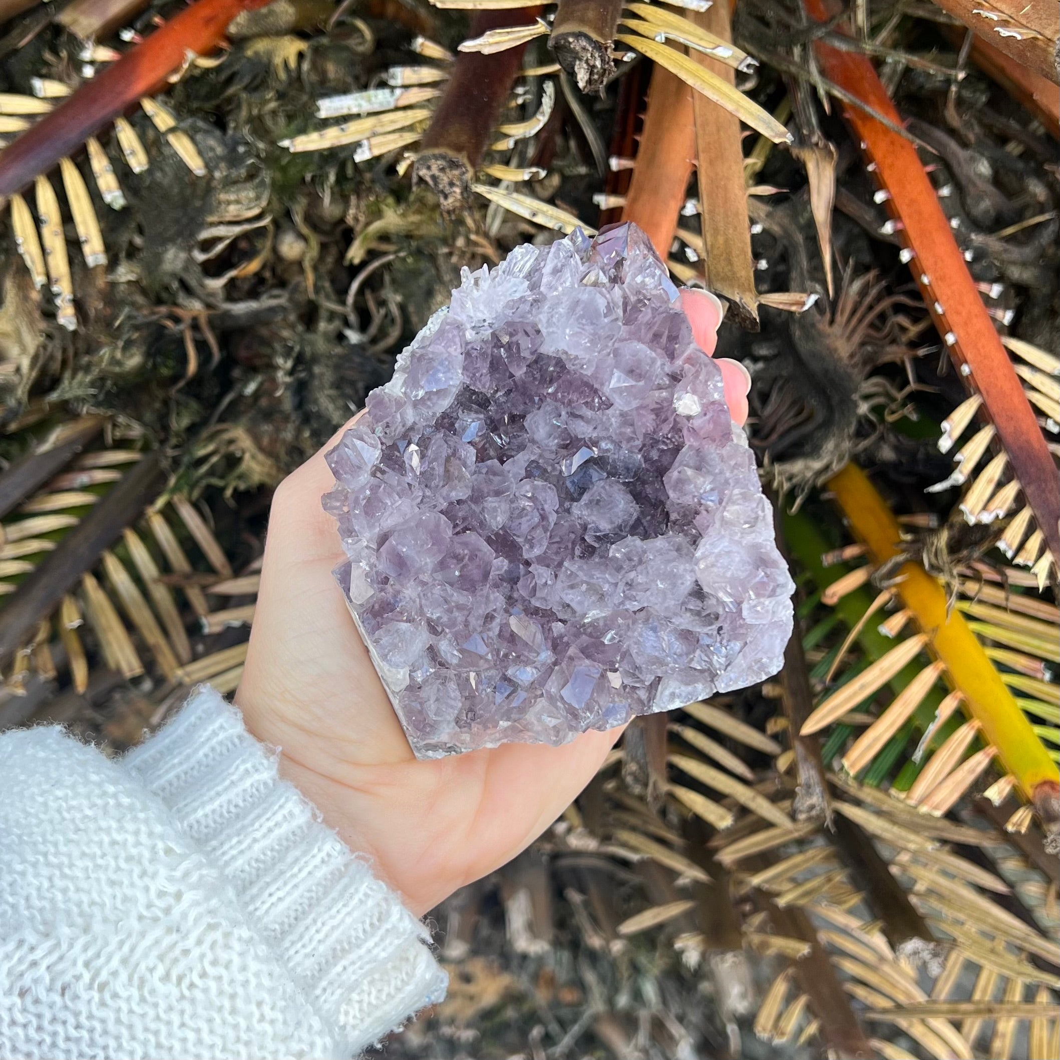 Amethyst Cluster
